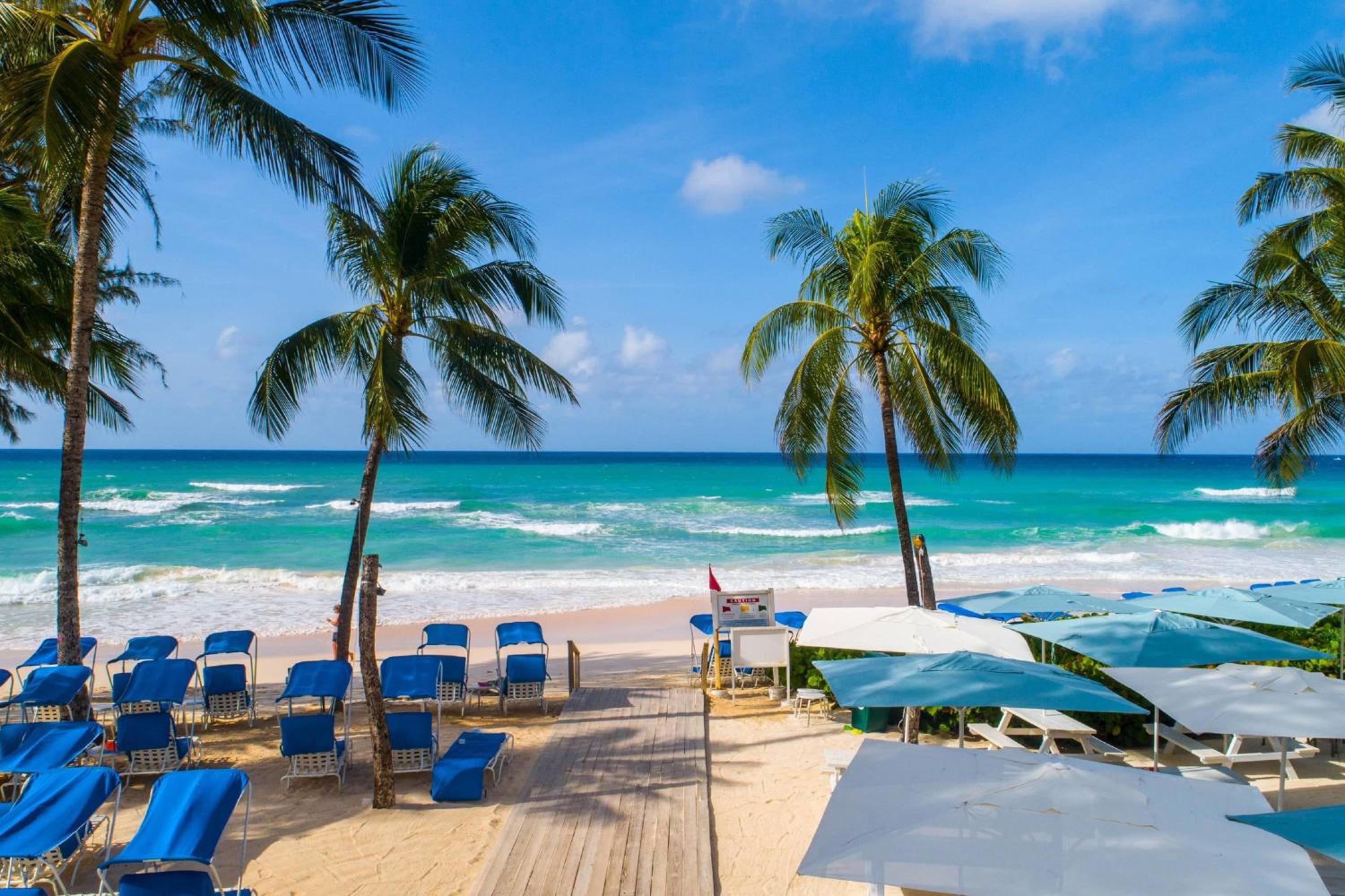 Turtle Beach by Elegant Hotels - Все включено — photo 3