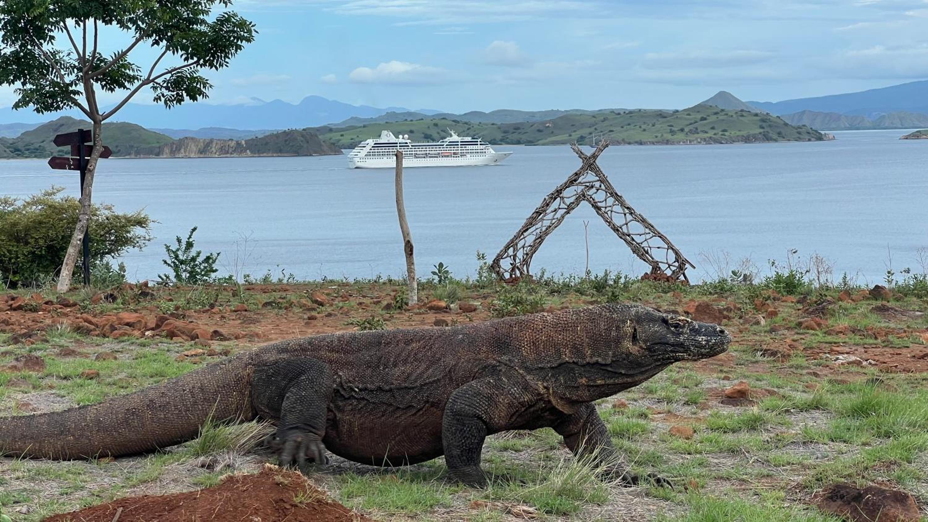 Jhuna Komodo Homestay