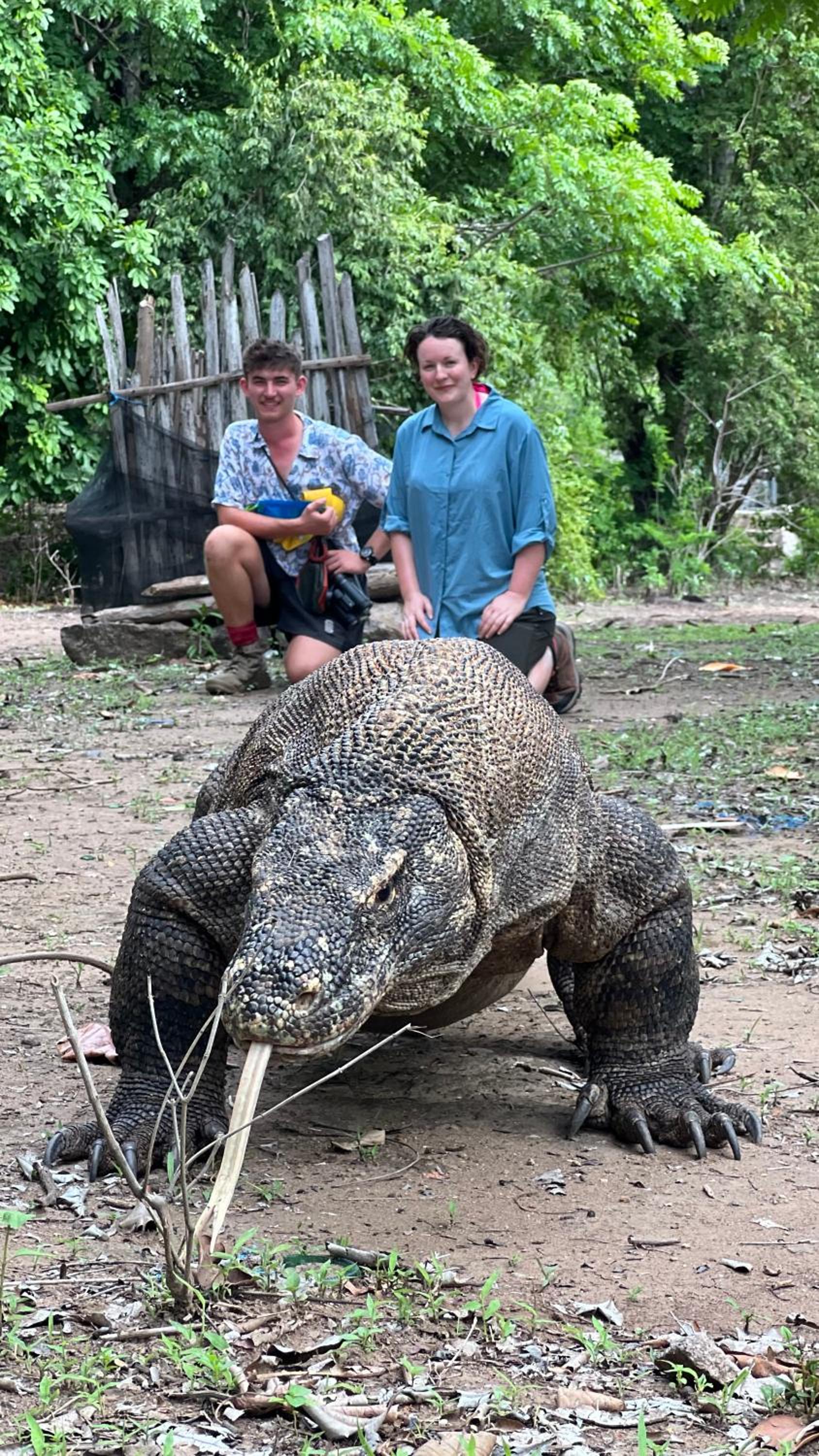 Jhuna Komodo Homestay
