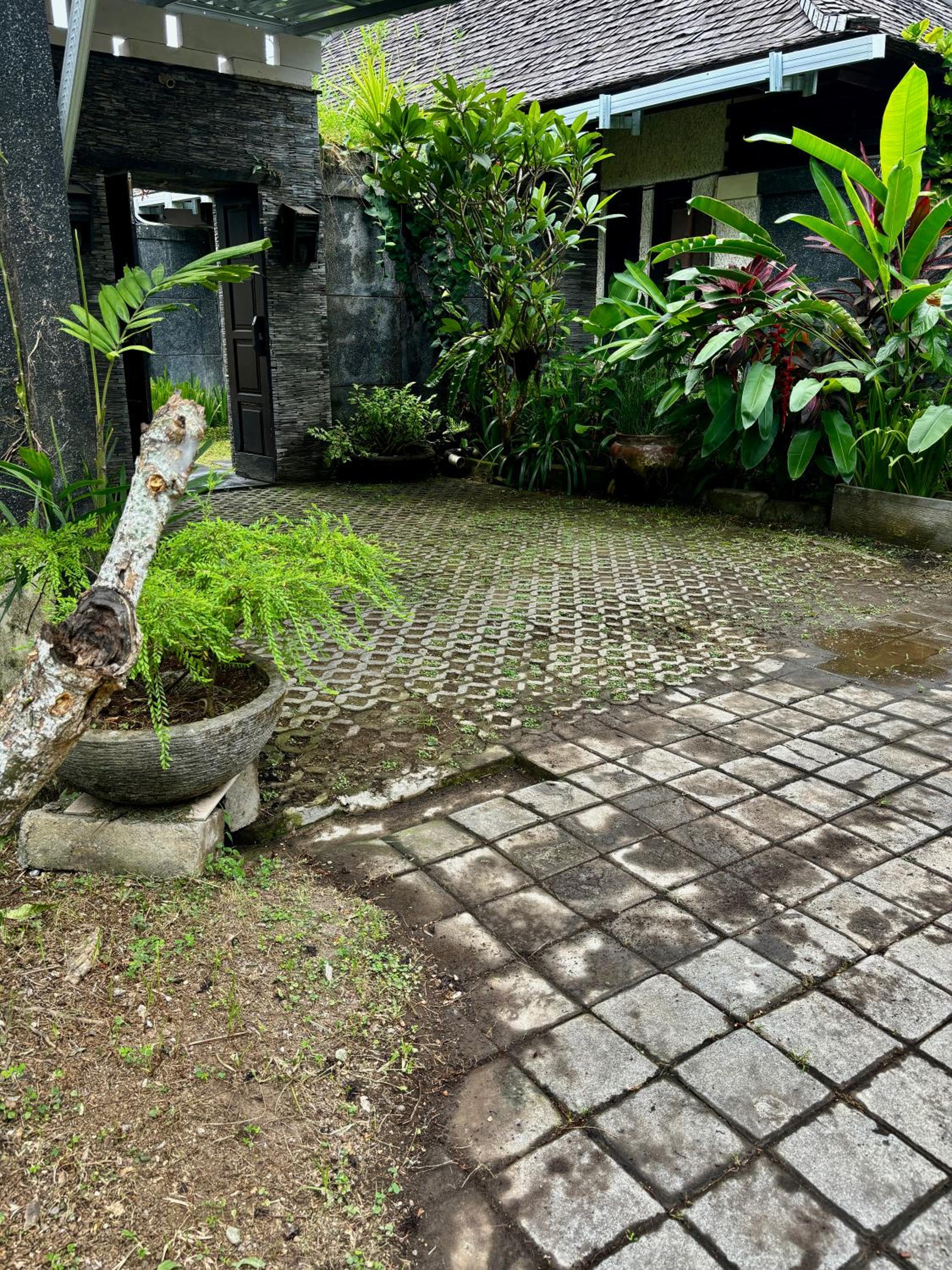 Villa Buddha Umalas view 5