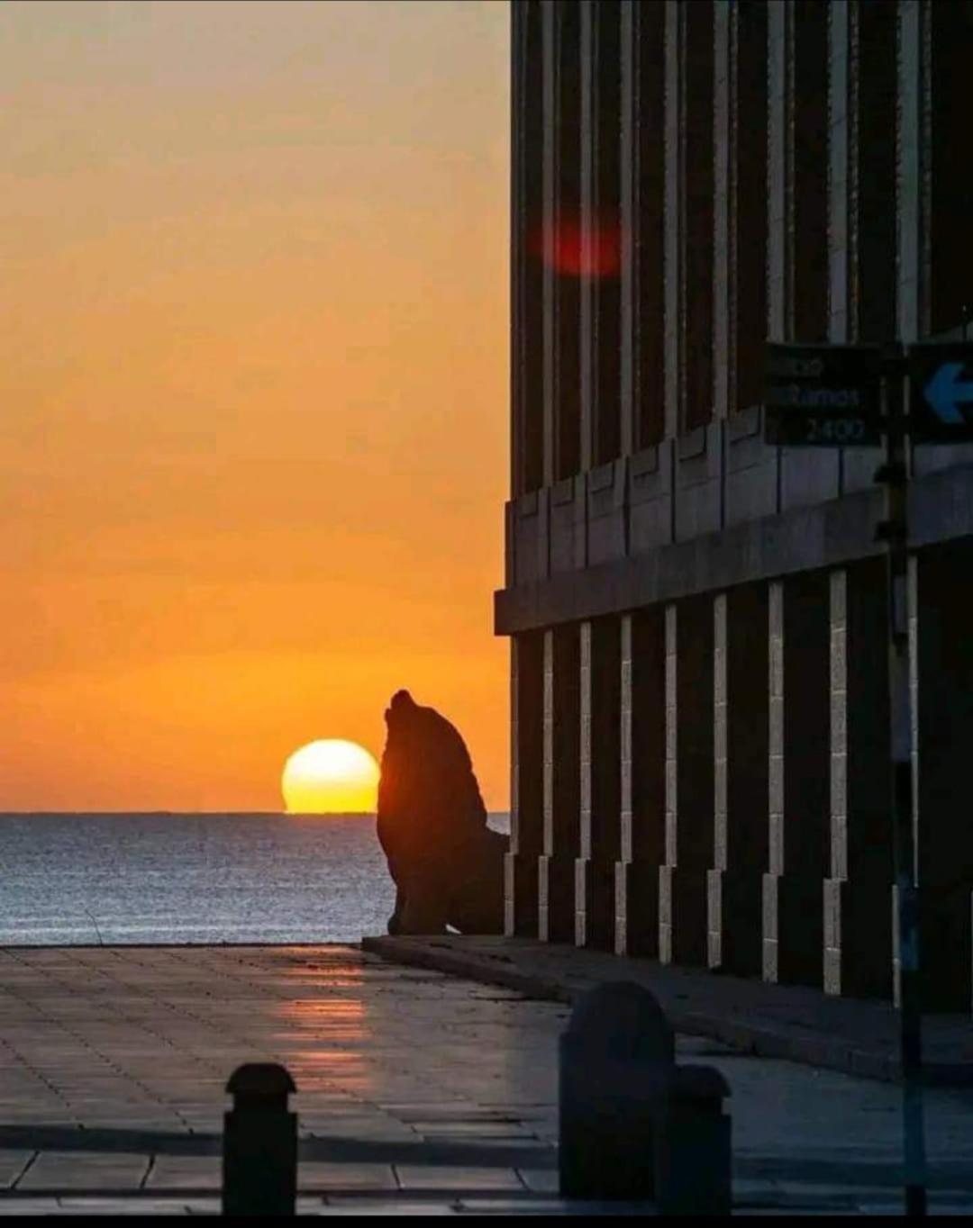 PLAZA COLON III