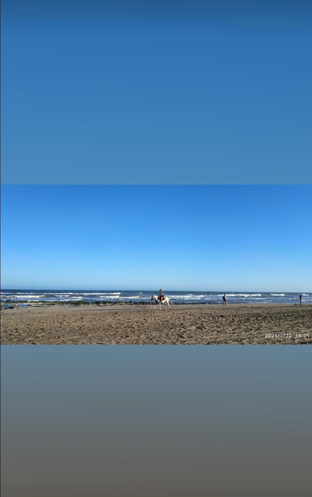 Alquimia Qi del Mar