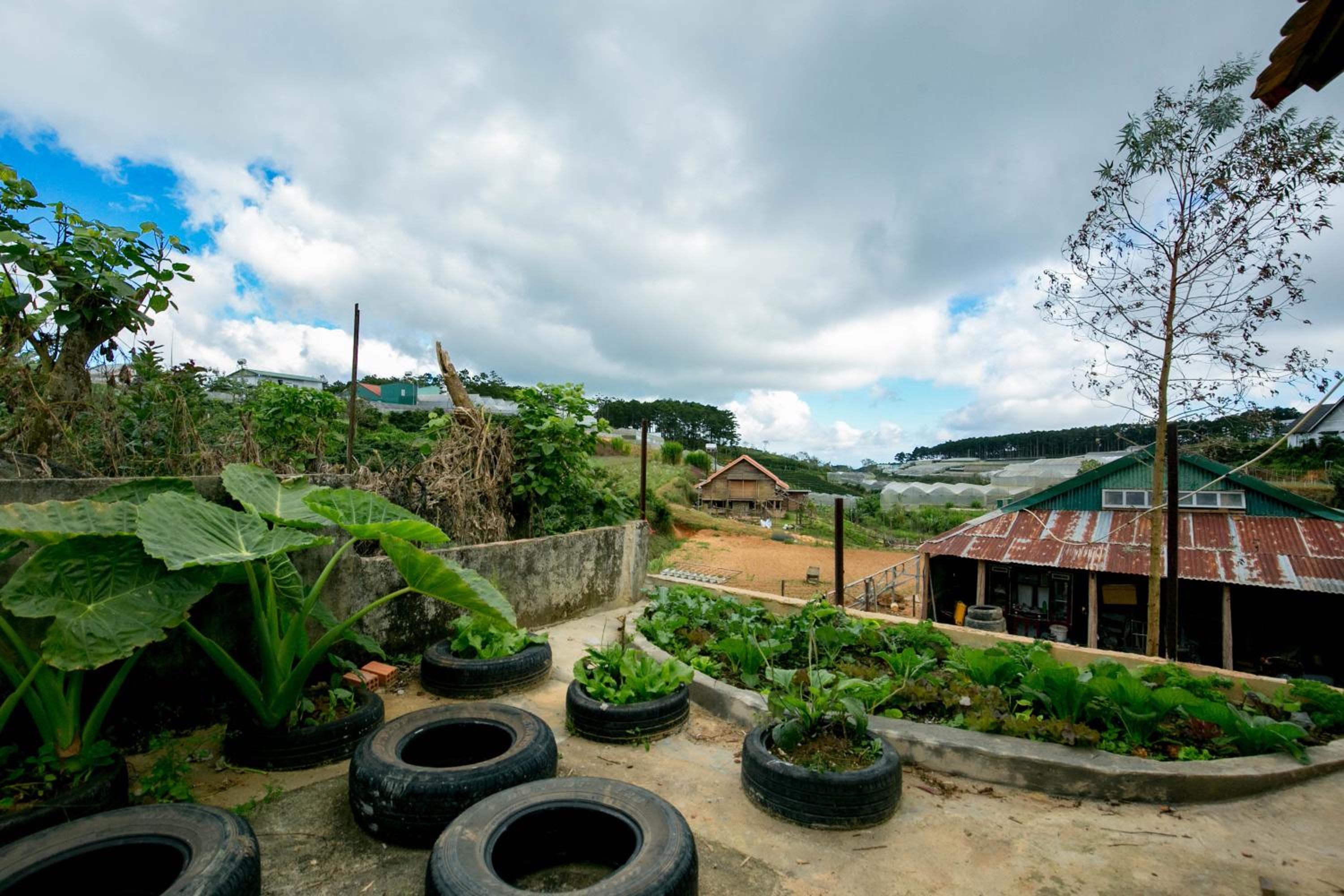 Trạm Gió Homestay view 2