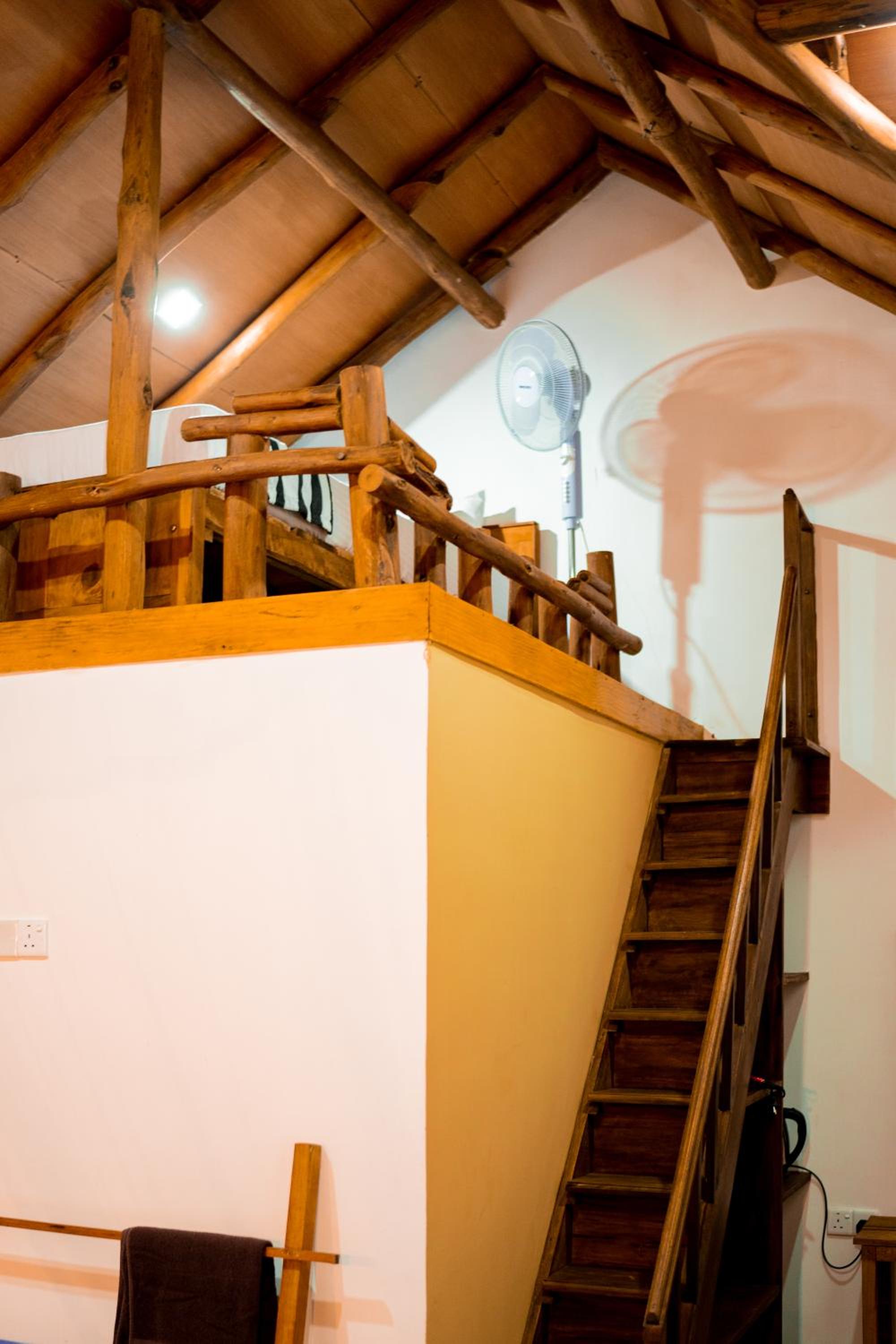 Photo 49