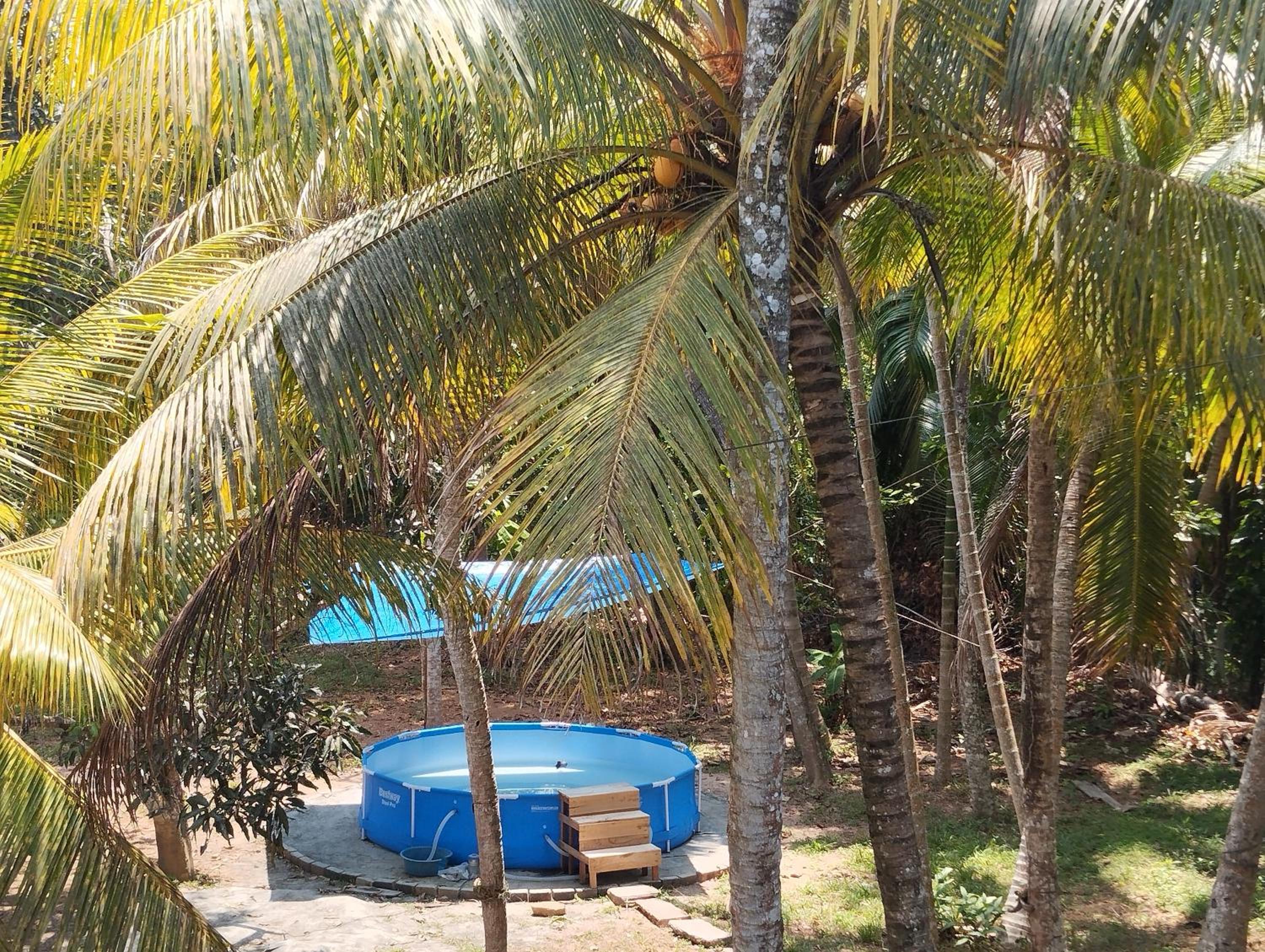 Tropical Paradise