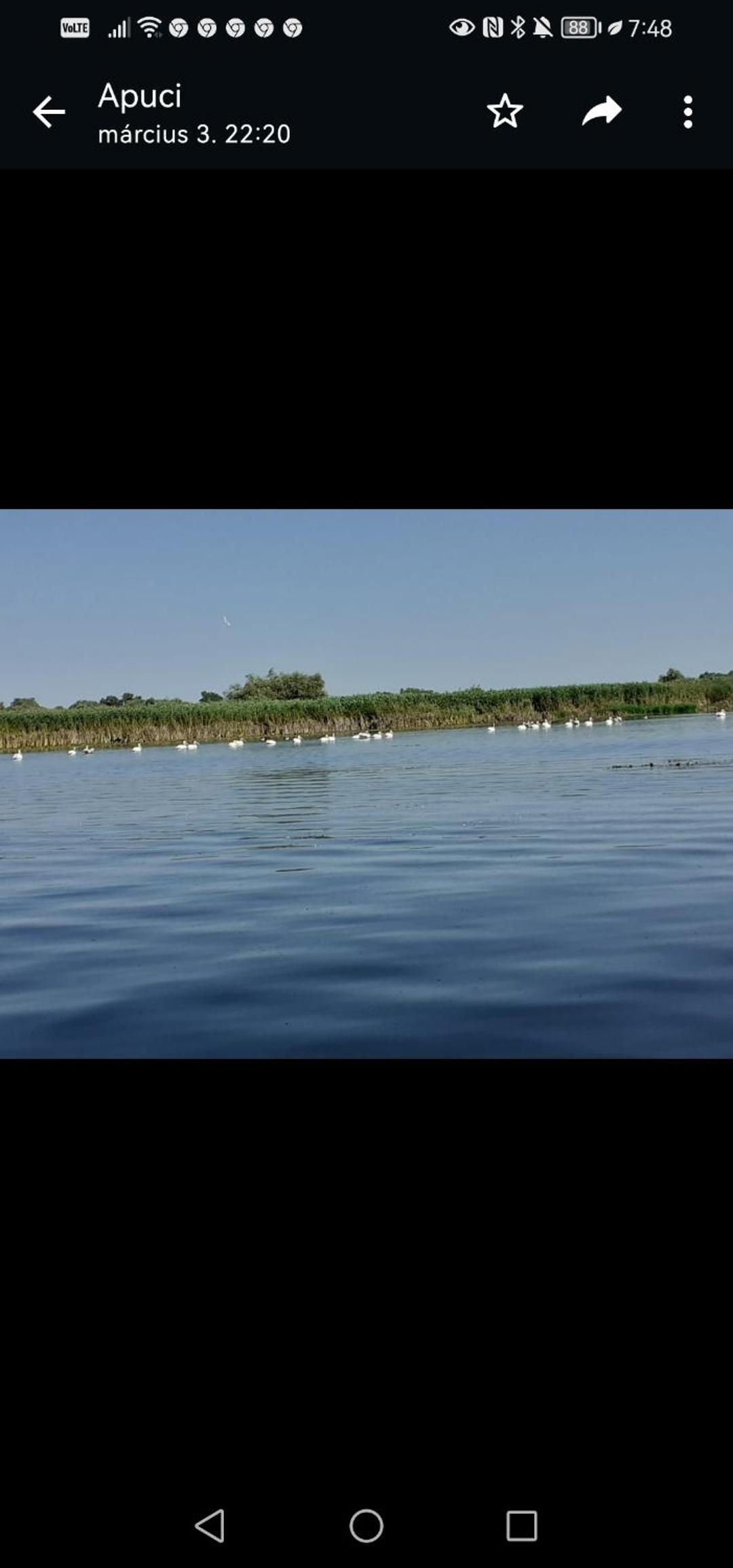 Pensiunea Ákos Delta Dunarii view 2