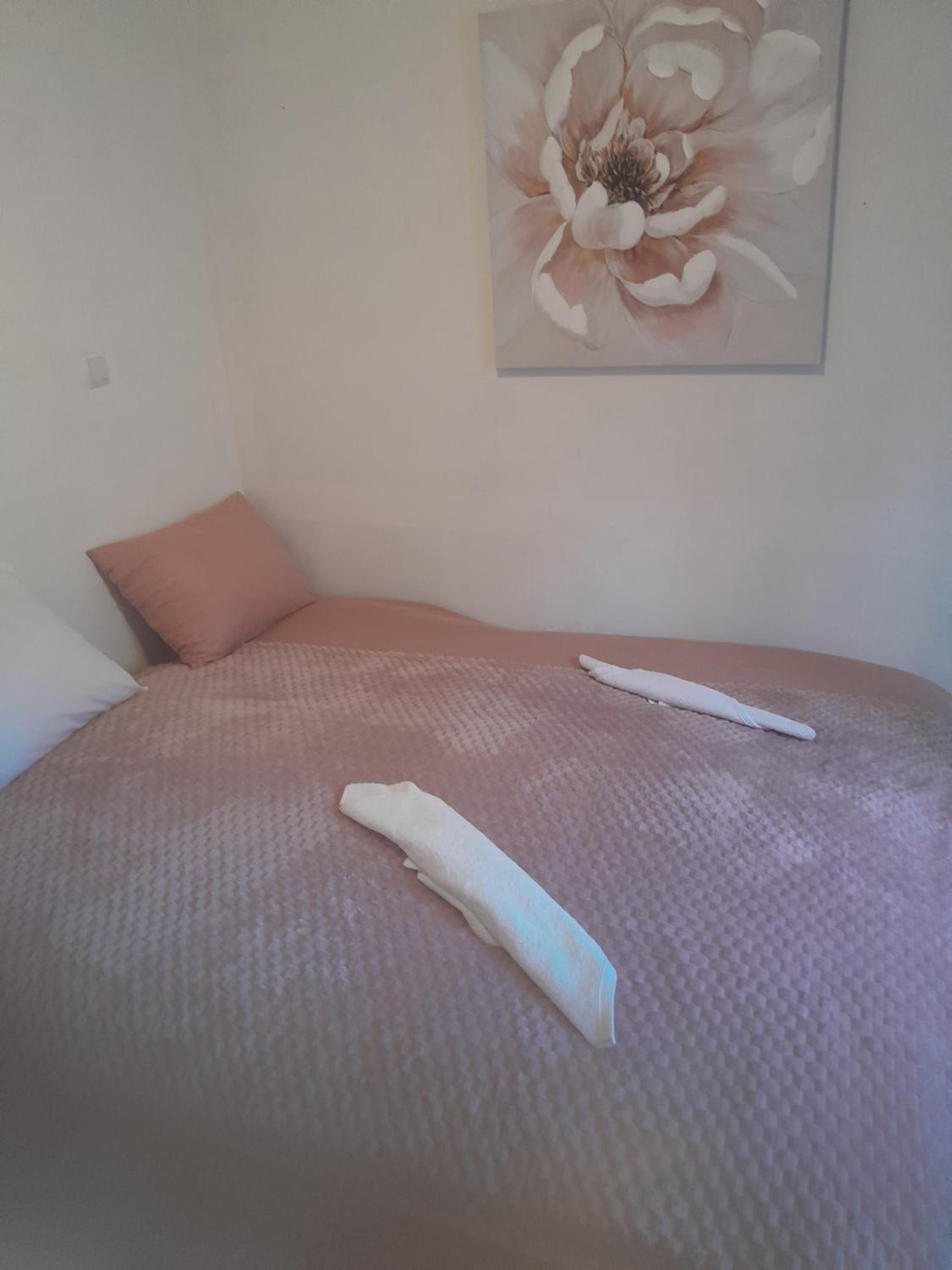 Apartment Wimi