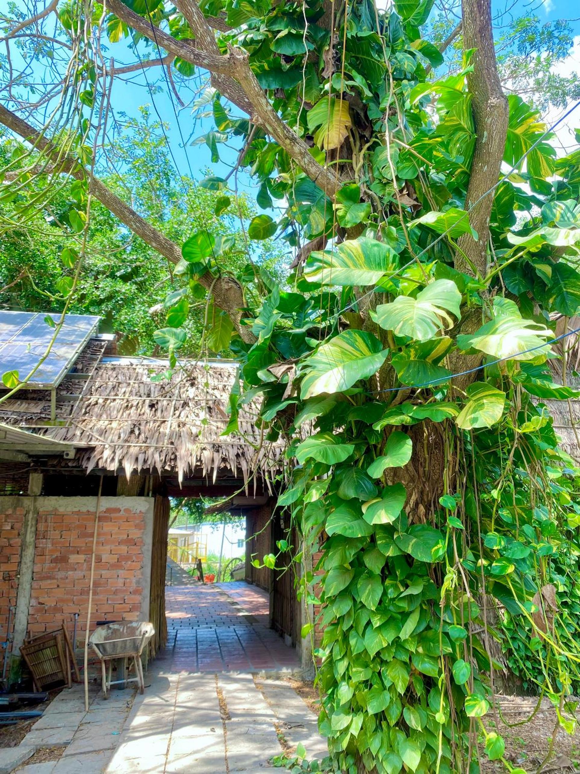Hometravel Mekong Can Tho