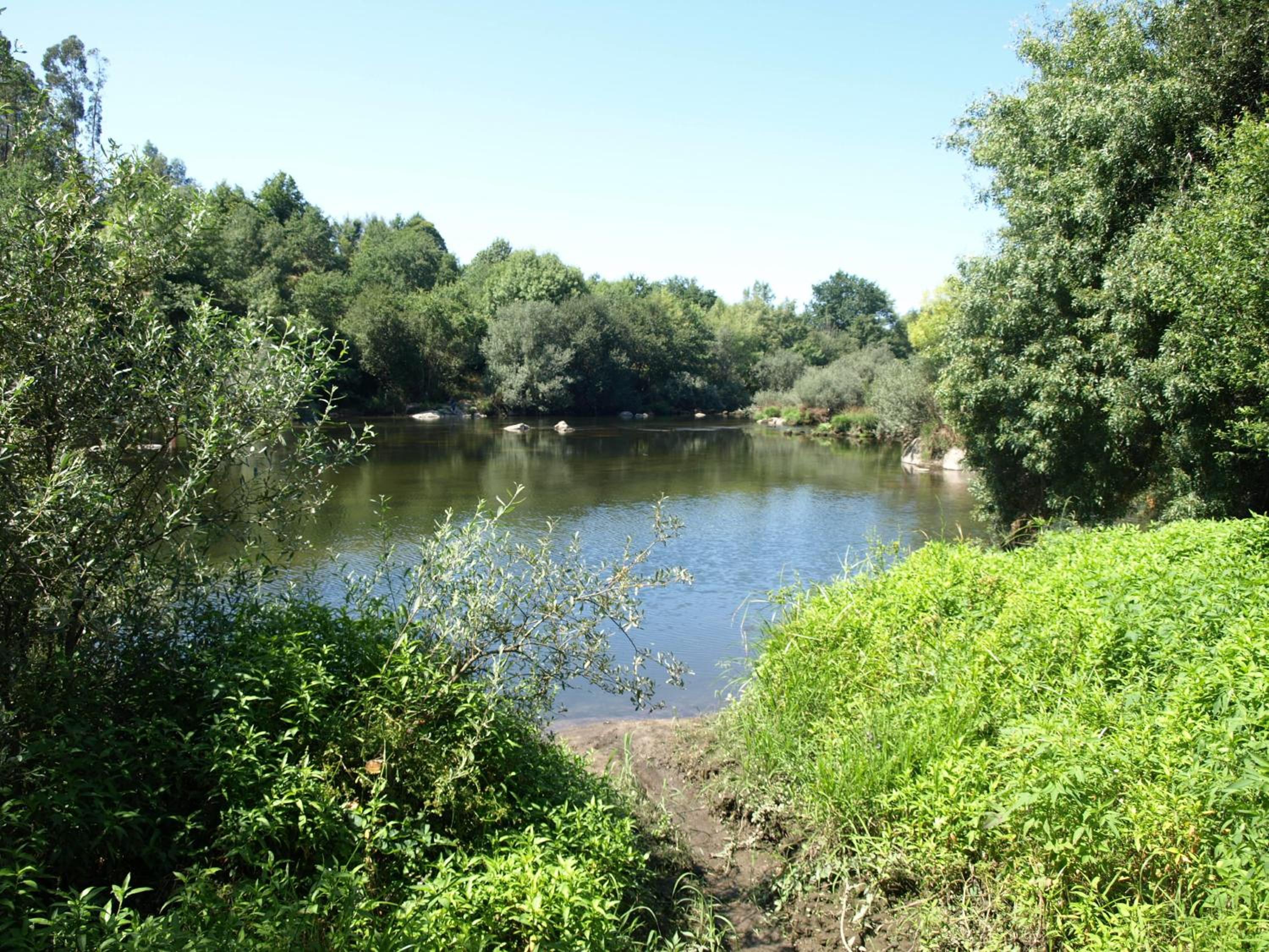 Photo 40