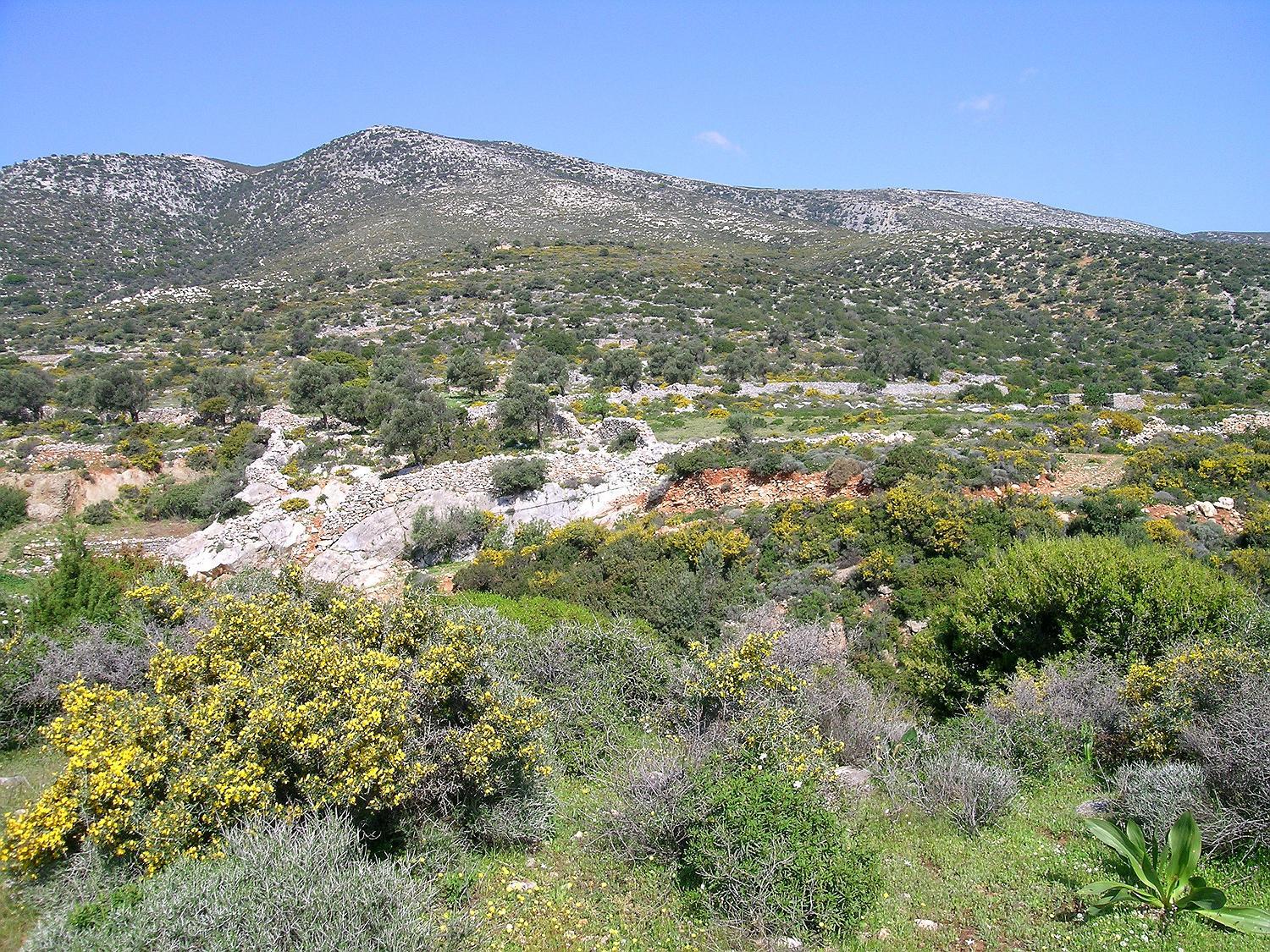 Traditional stone-built cottages Azalas
