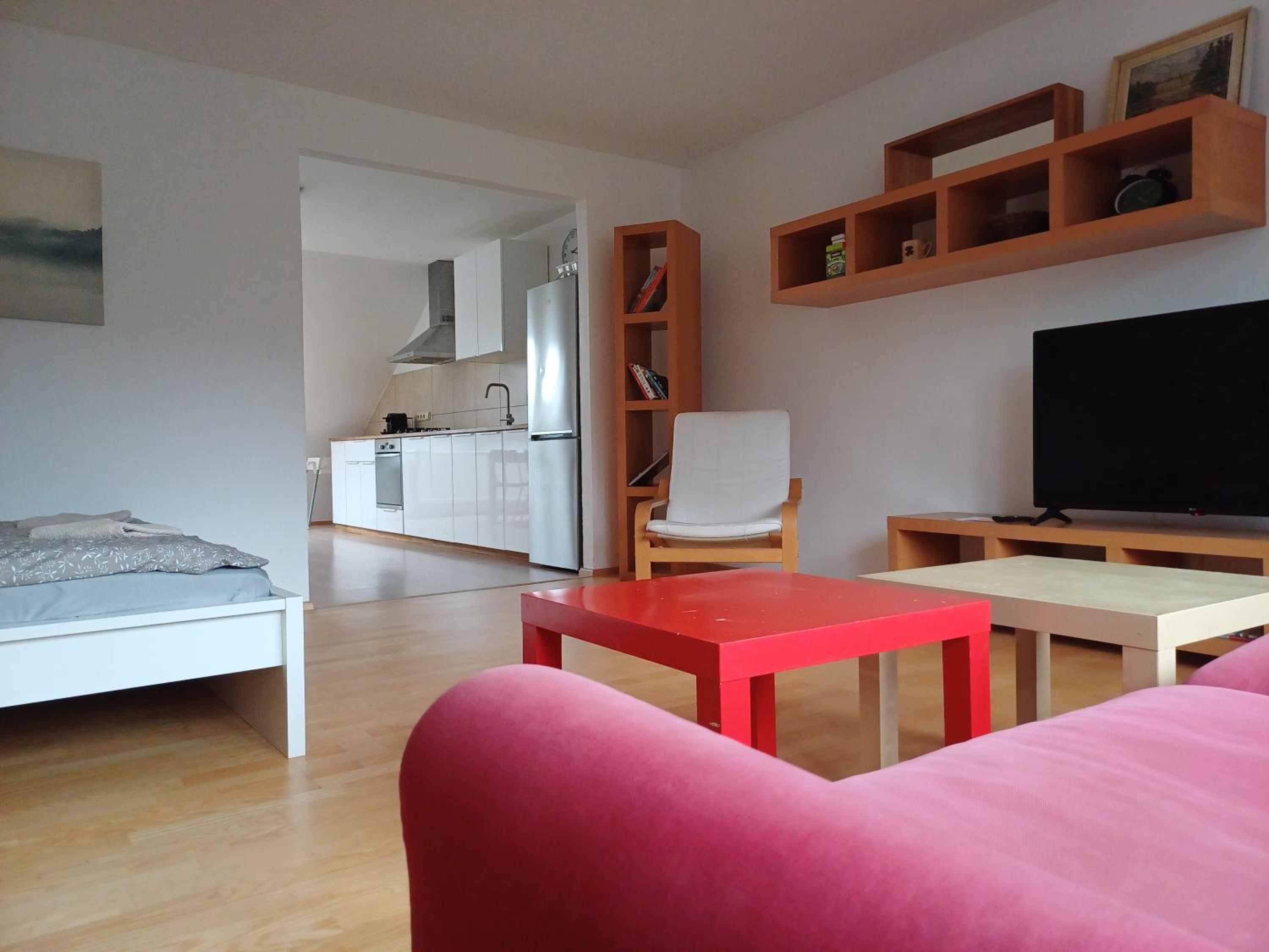 Apartmán Dvořák 194 pod Svatou horou, photo 28