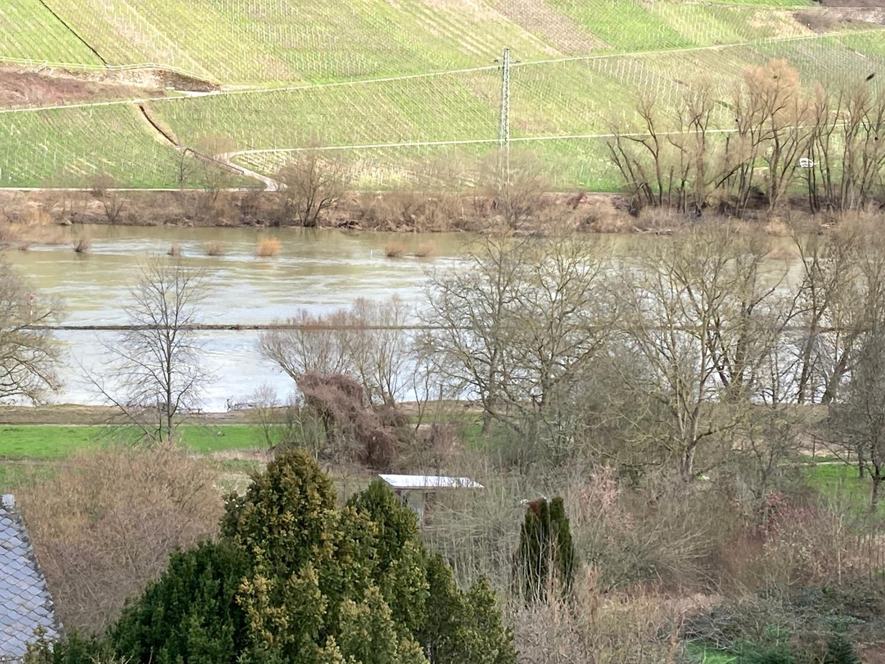 Burgblick Pünderich