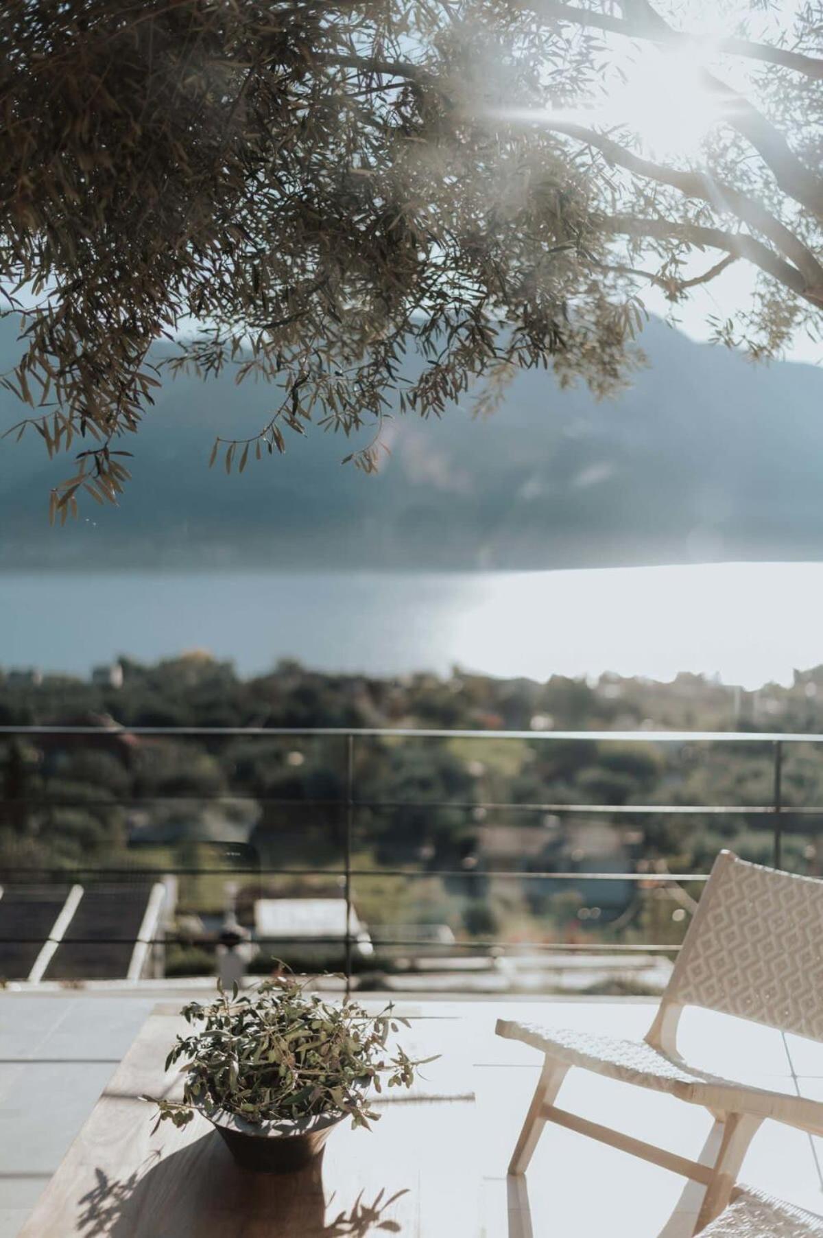 Villa Iris