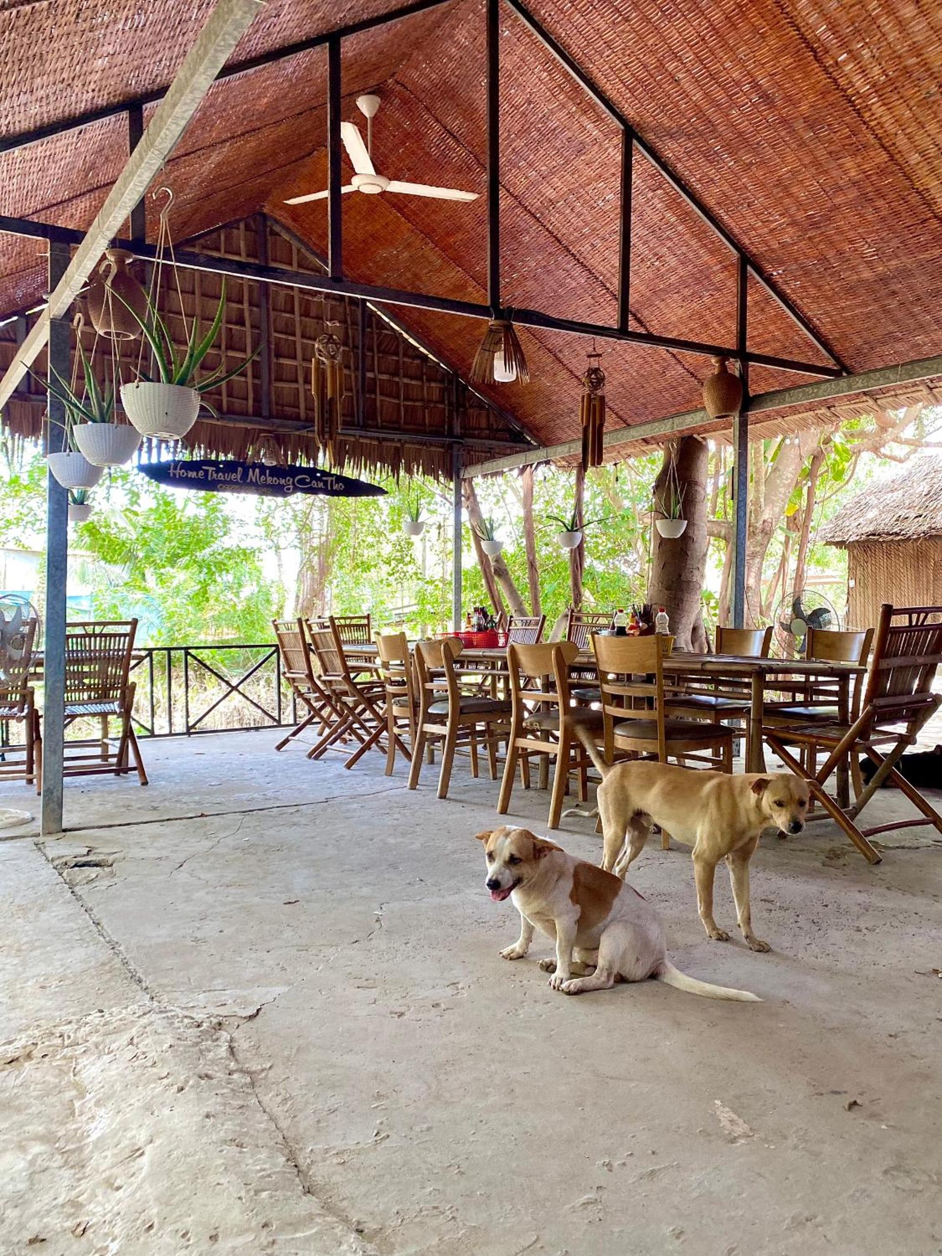 Homestay Mekong Can Tho, photo 16