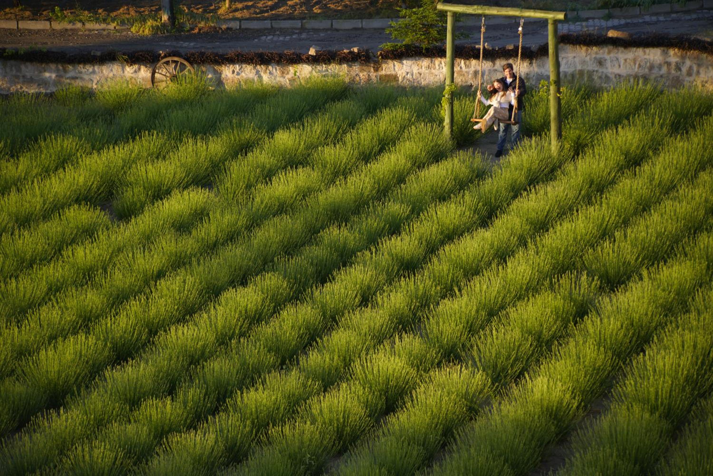 Design Cave Otel - Image 57