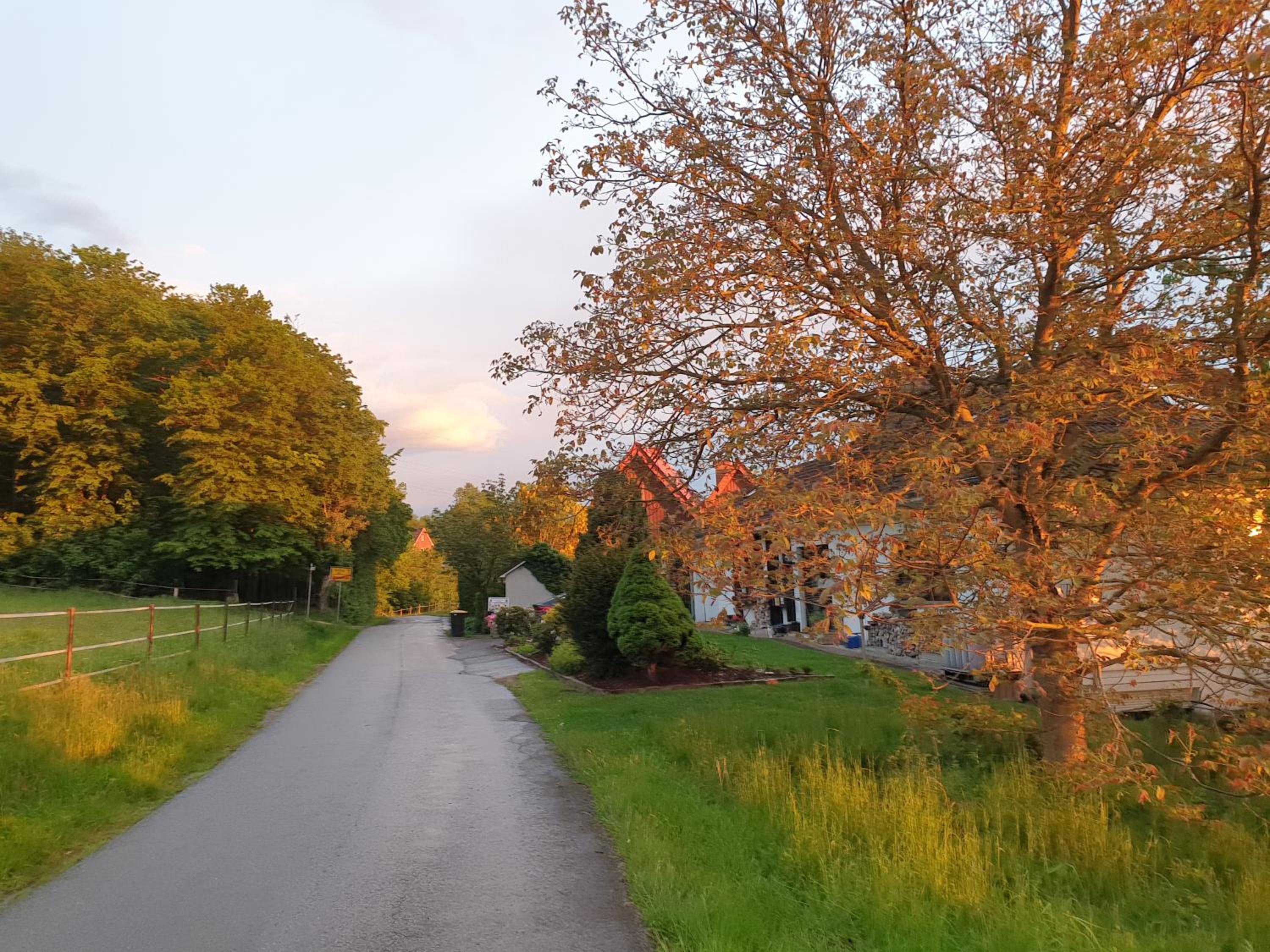 Ferienwohnung Rosenpflanzer