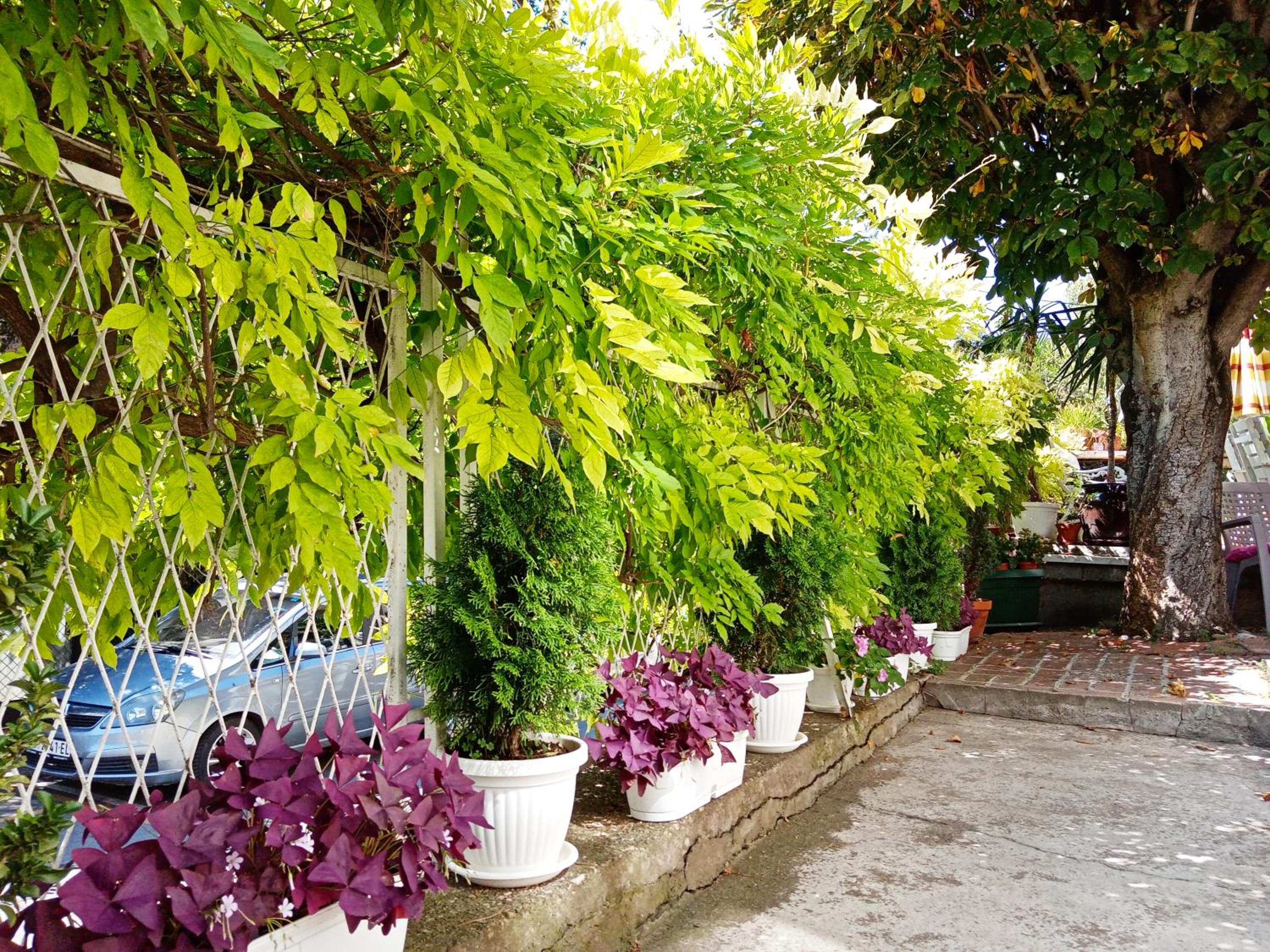 Belgrade Apartment Happy Garden