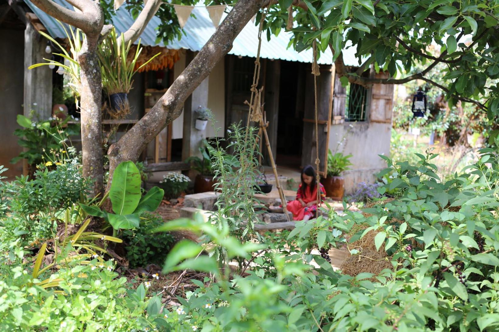 Photo 10