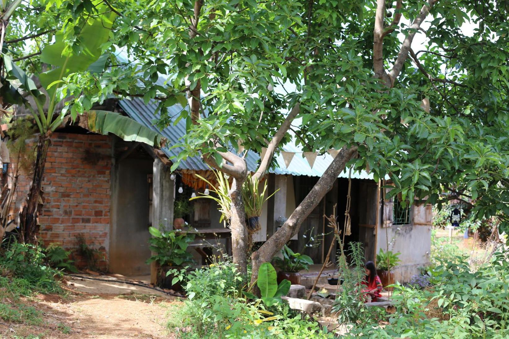 Photo 16