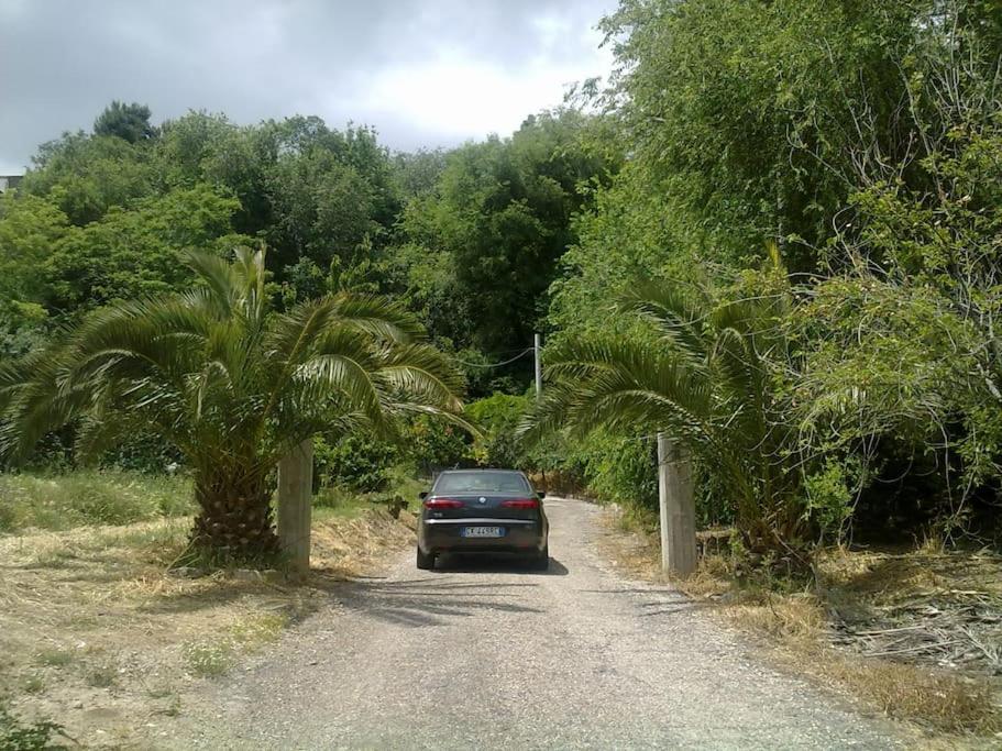 Appartamento 6 letti con cucina e parcheggio privato gratuito view 4