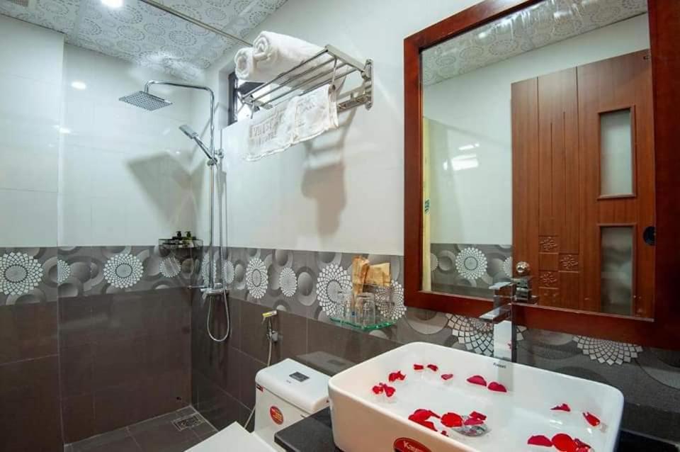 Vin star Villa Hoian