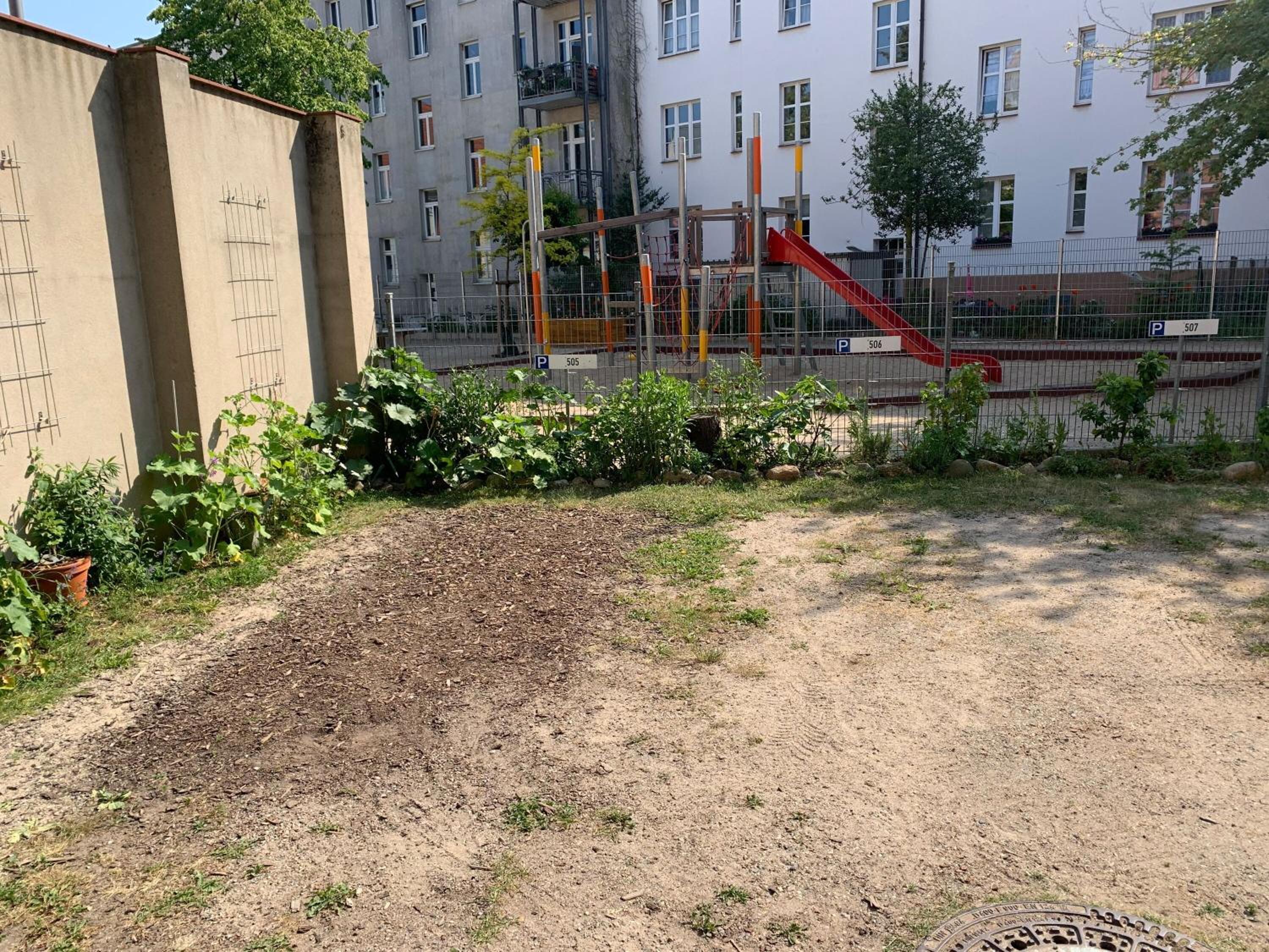 Photo 6