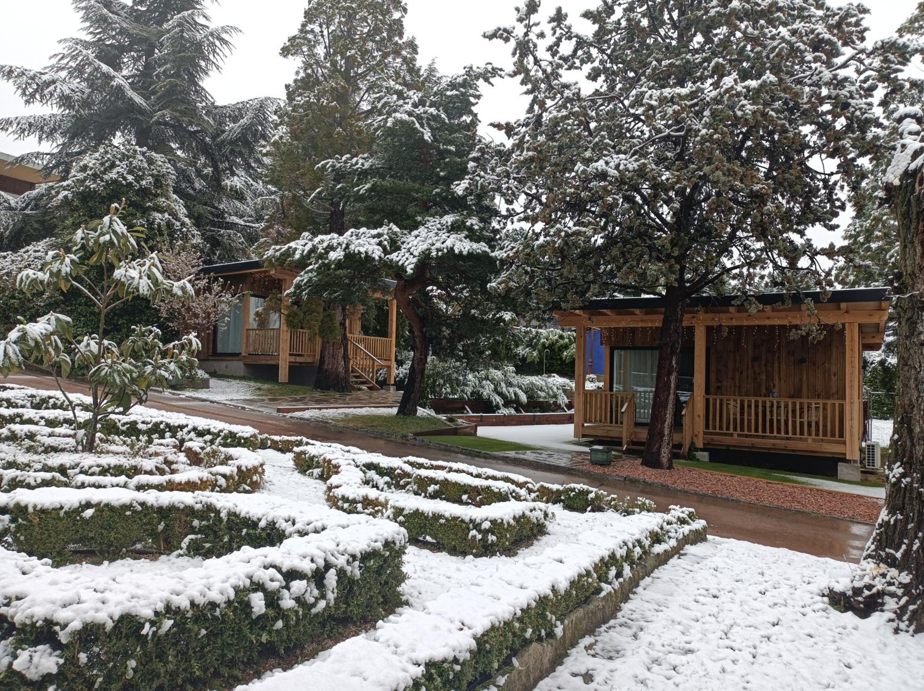 Jardín Las Secuoyas
