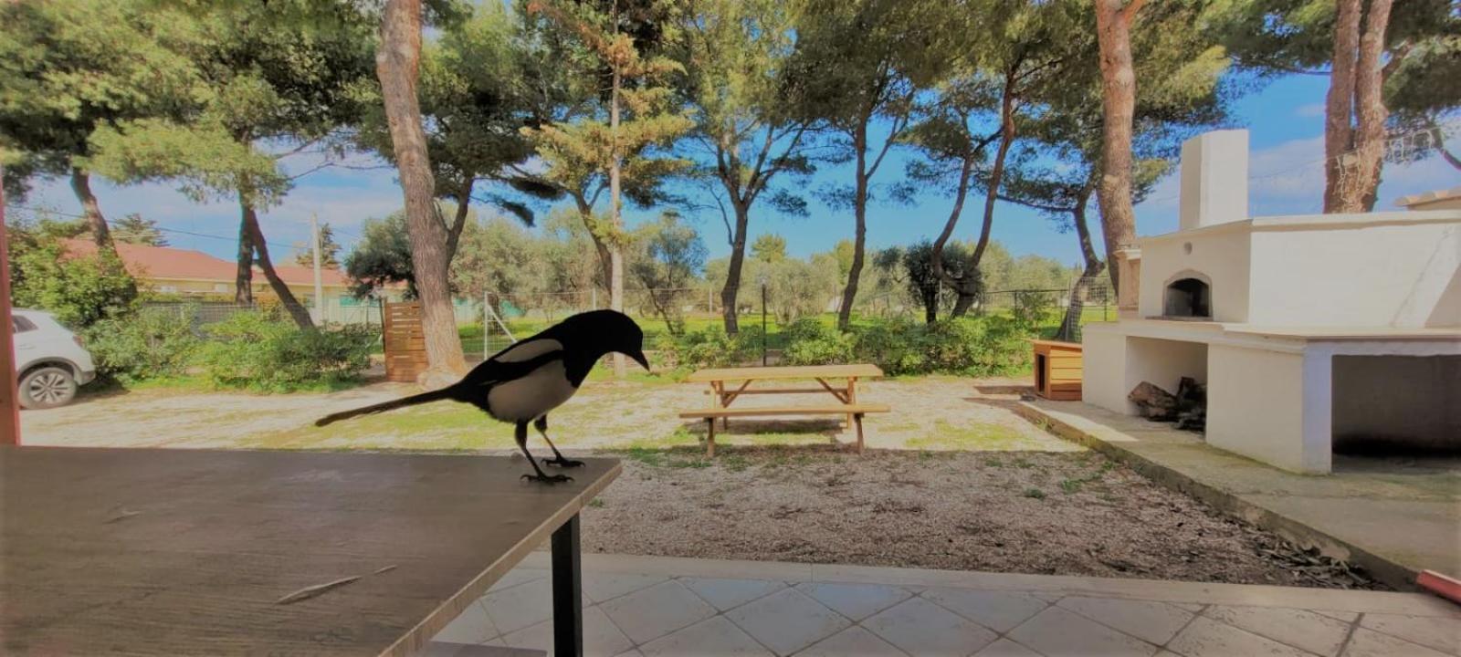 Villa Costanza
