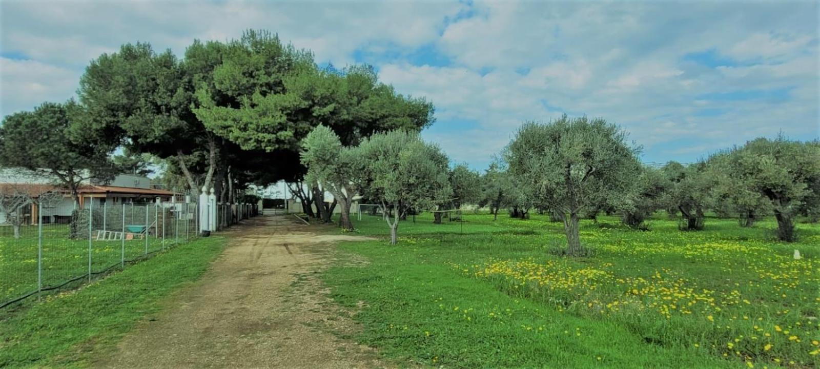 Villa Costanza