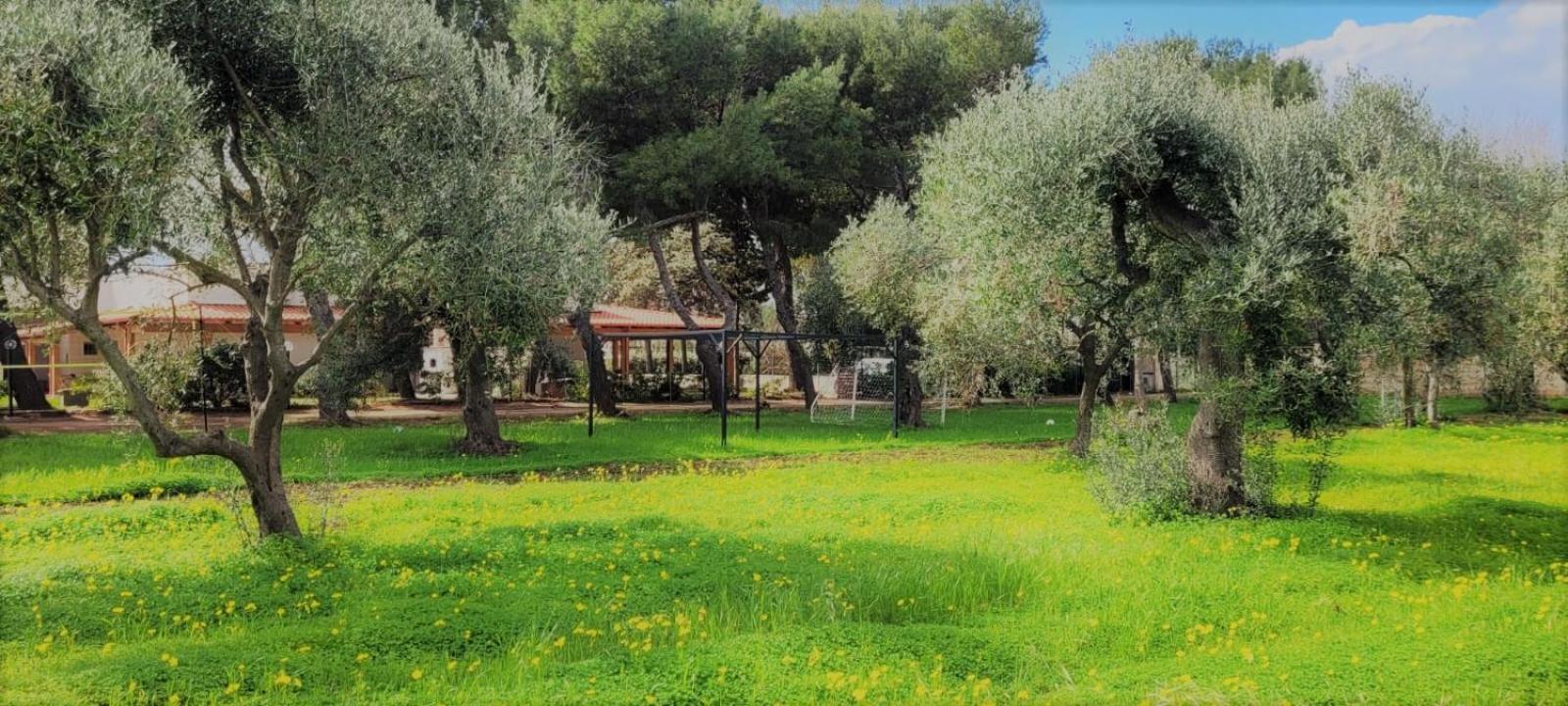 Villa Costanza