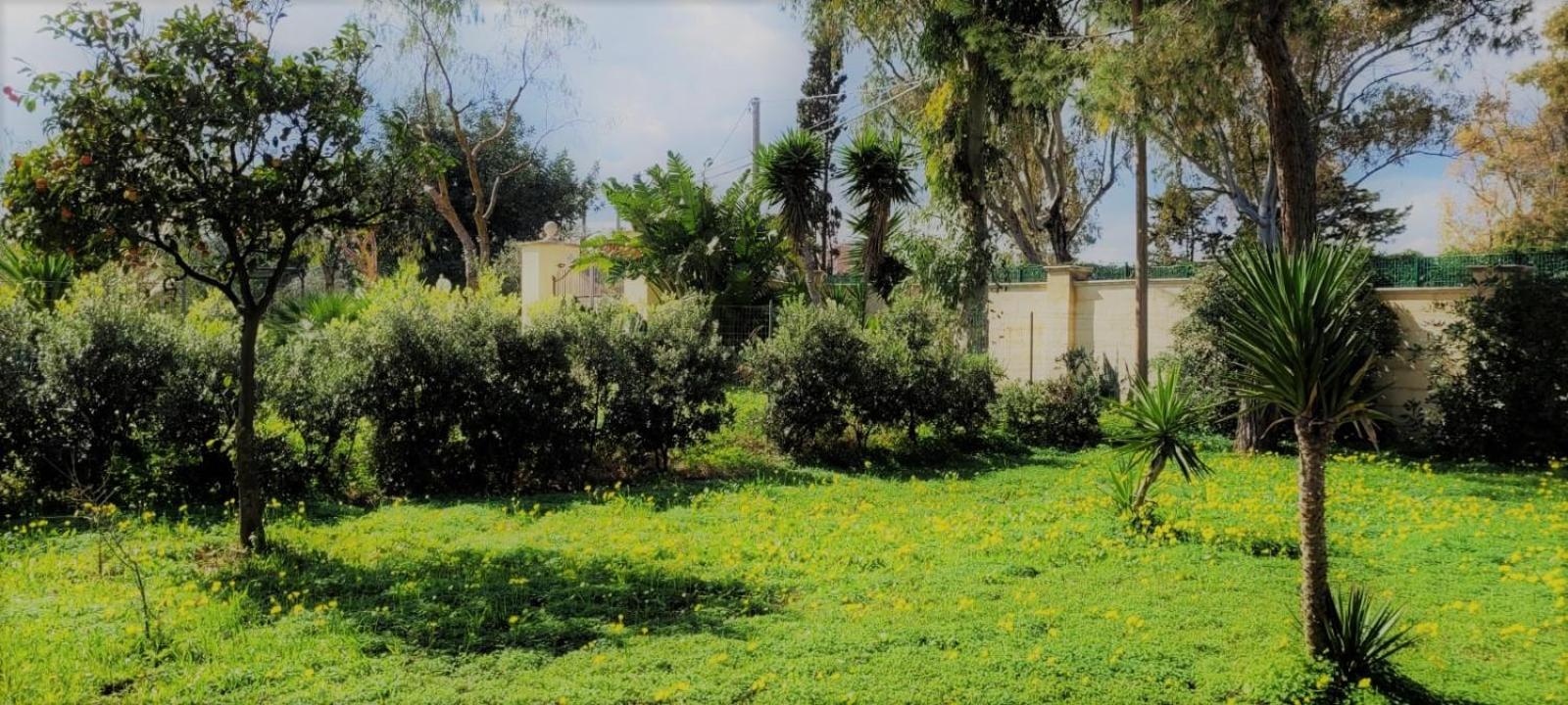Villa Costanza