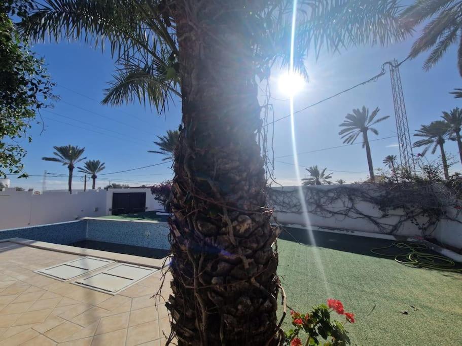 Villa Dejerba Midoun