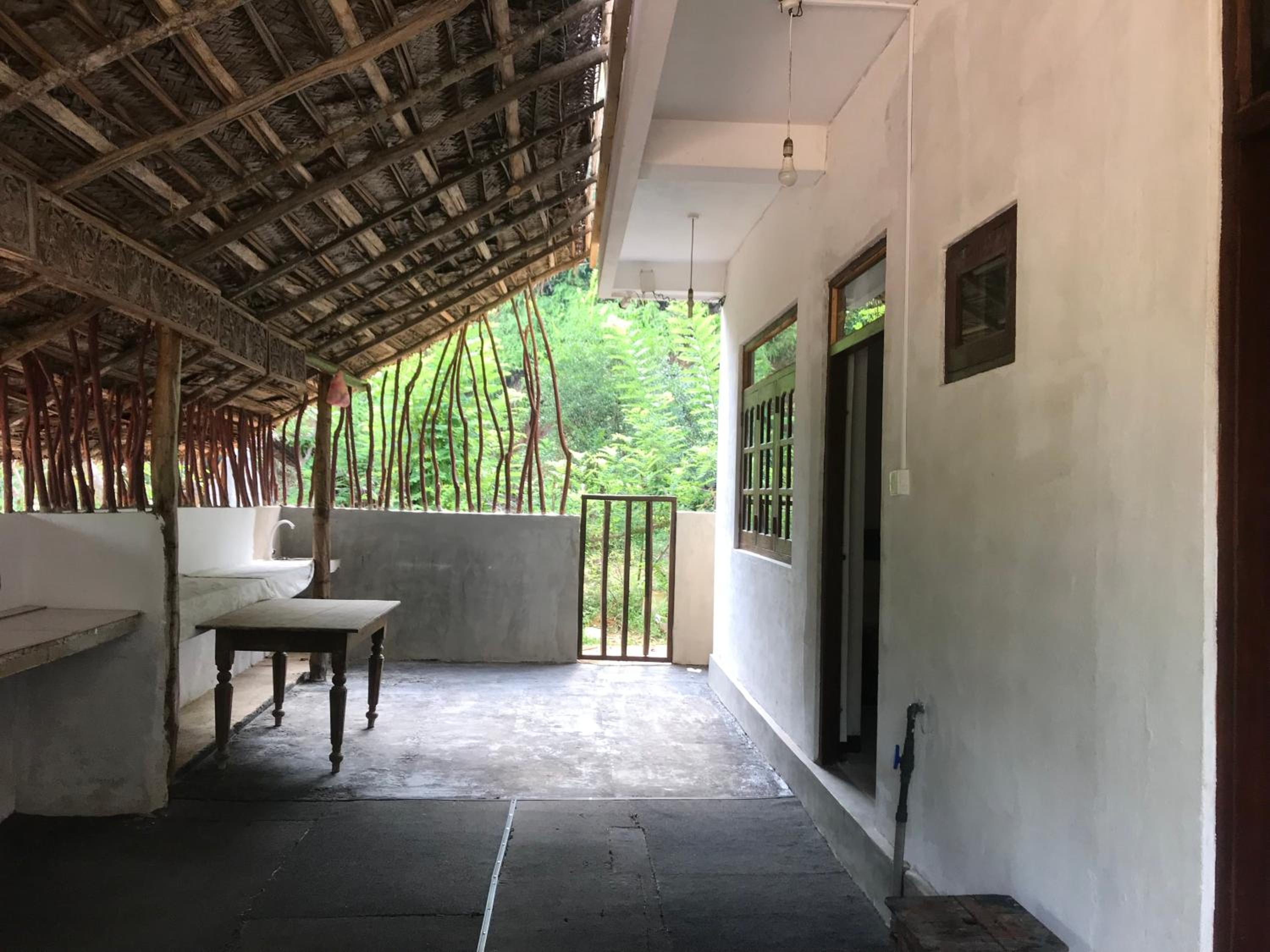 Dillenia canopy