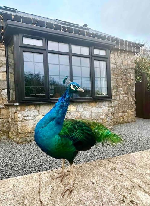 Peacock cottage