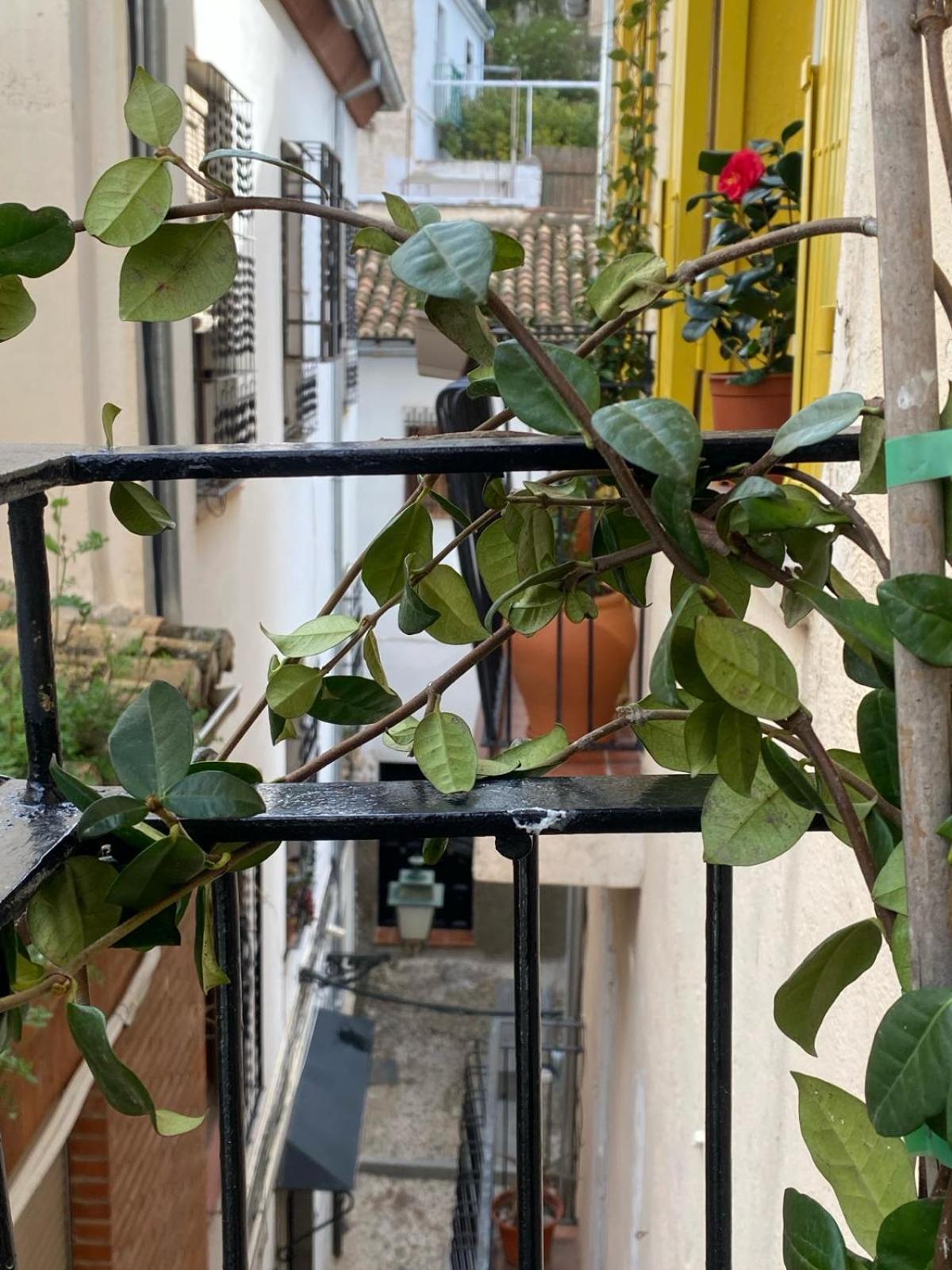 Apartamento Home Stagging New Life