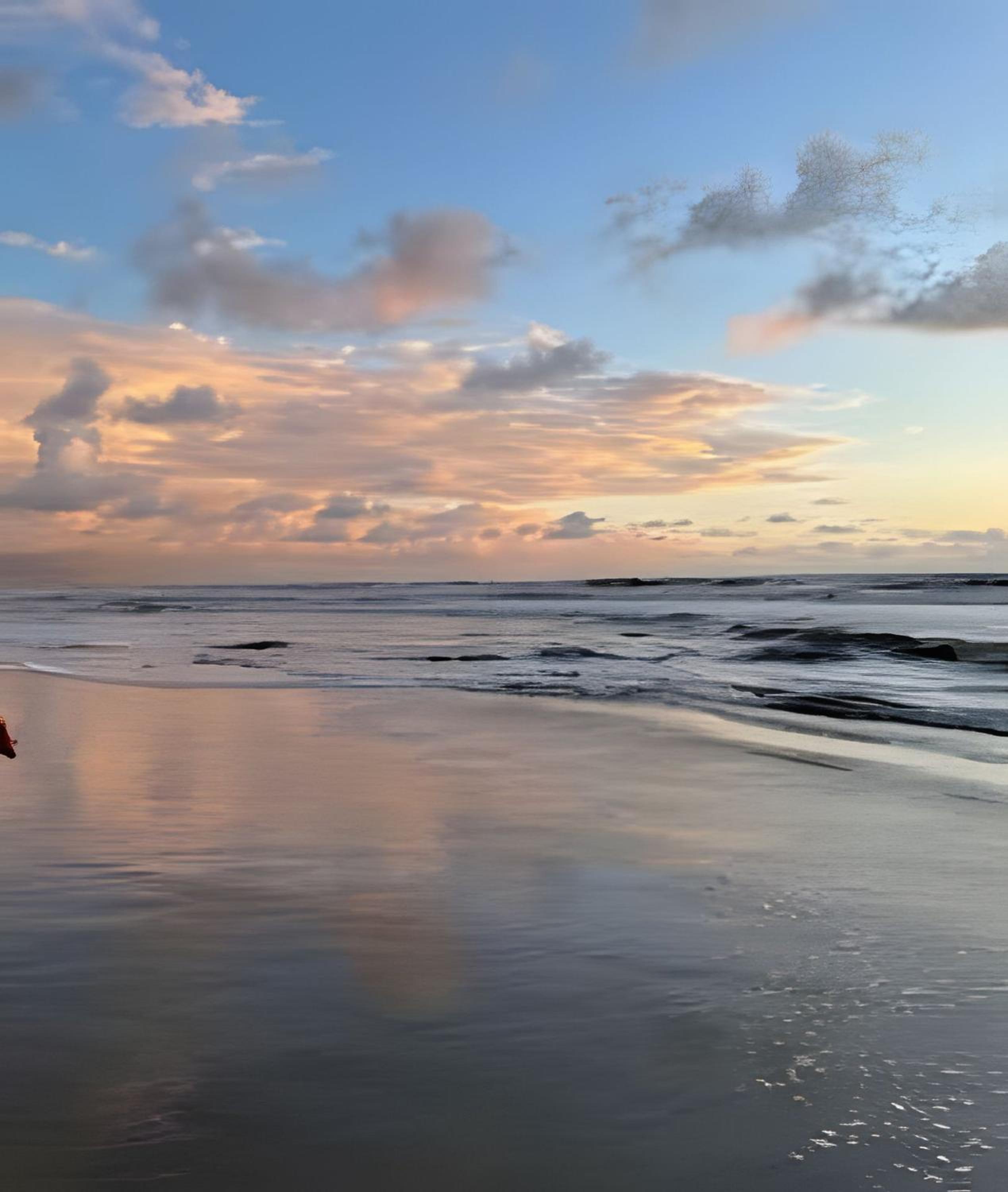 Flamingo Pé na Areia