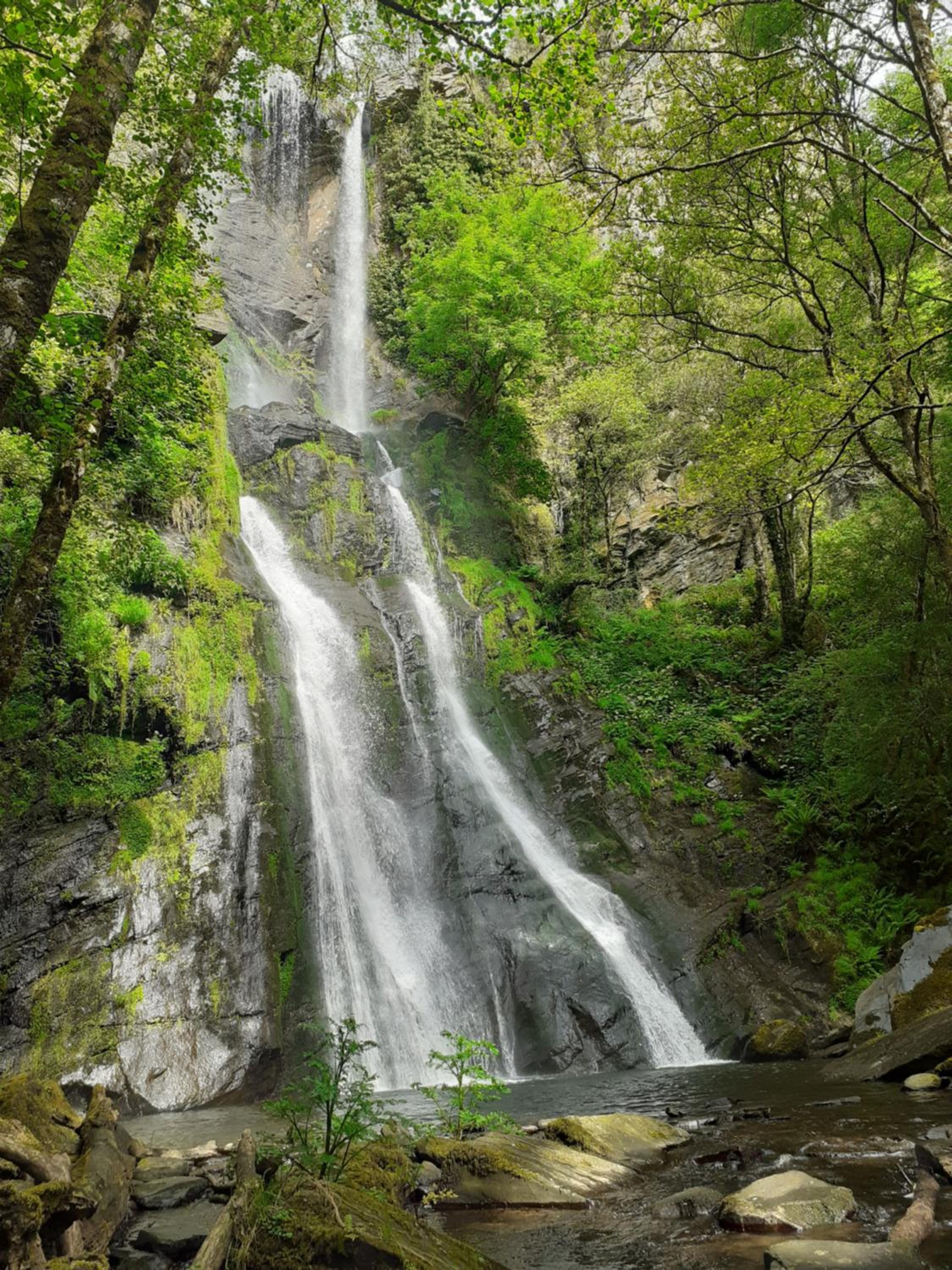 Sons do Eo- Alojamiento ecológico en Galicia