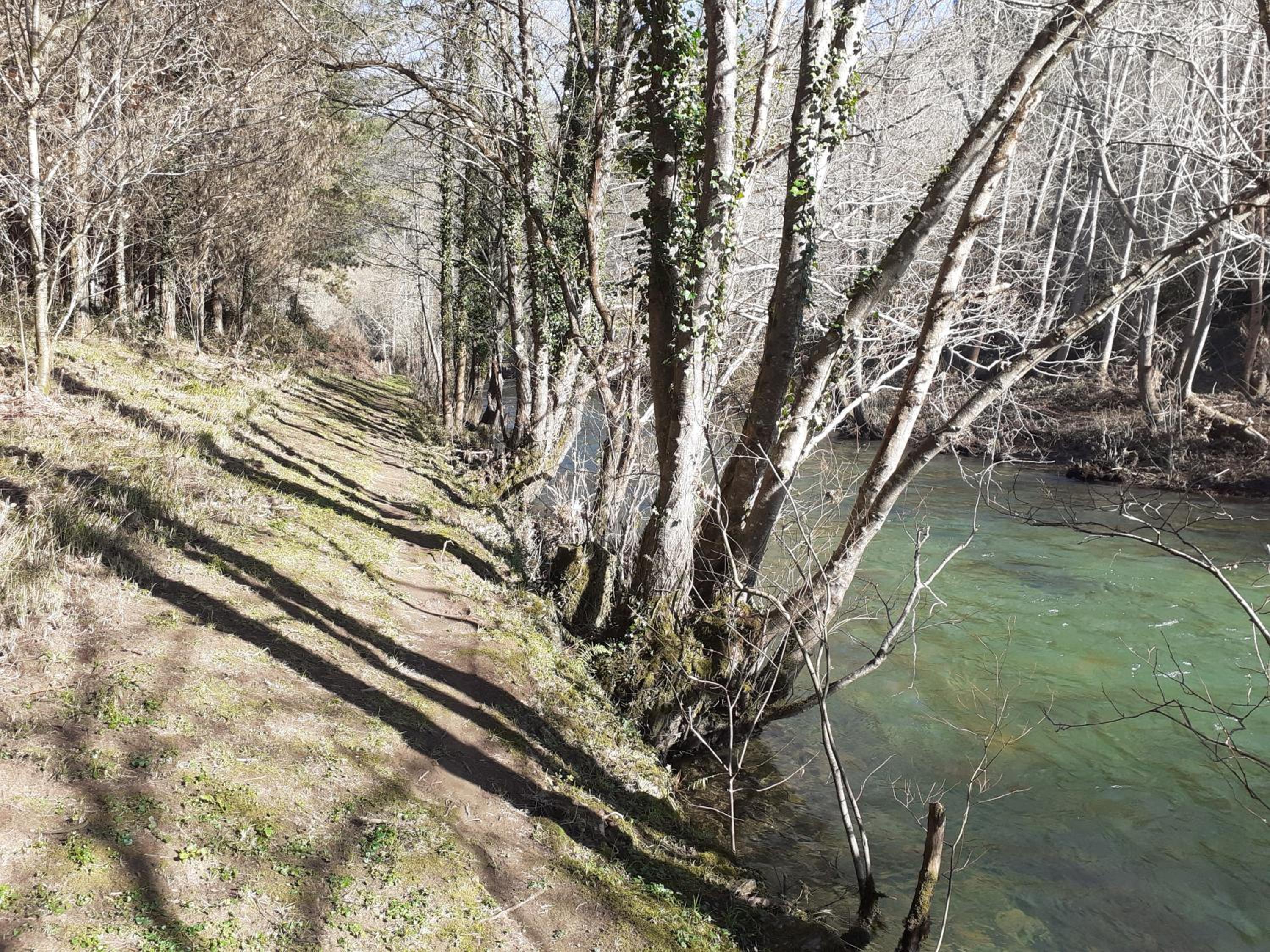 Sons do Eo- Alojamiento ecológico en Galicia