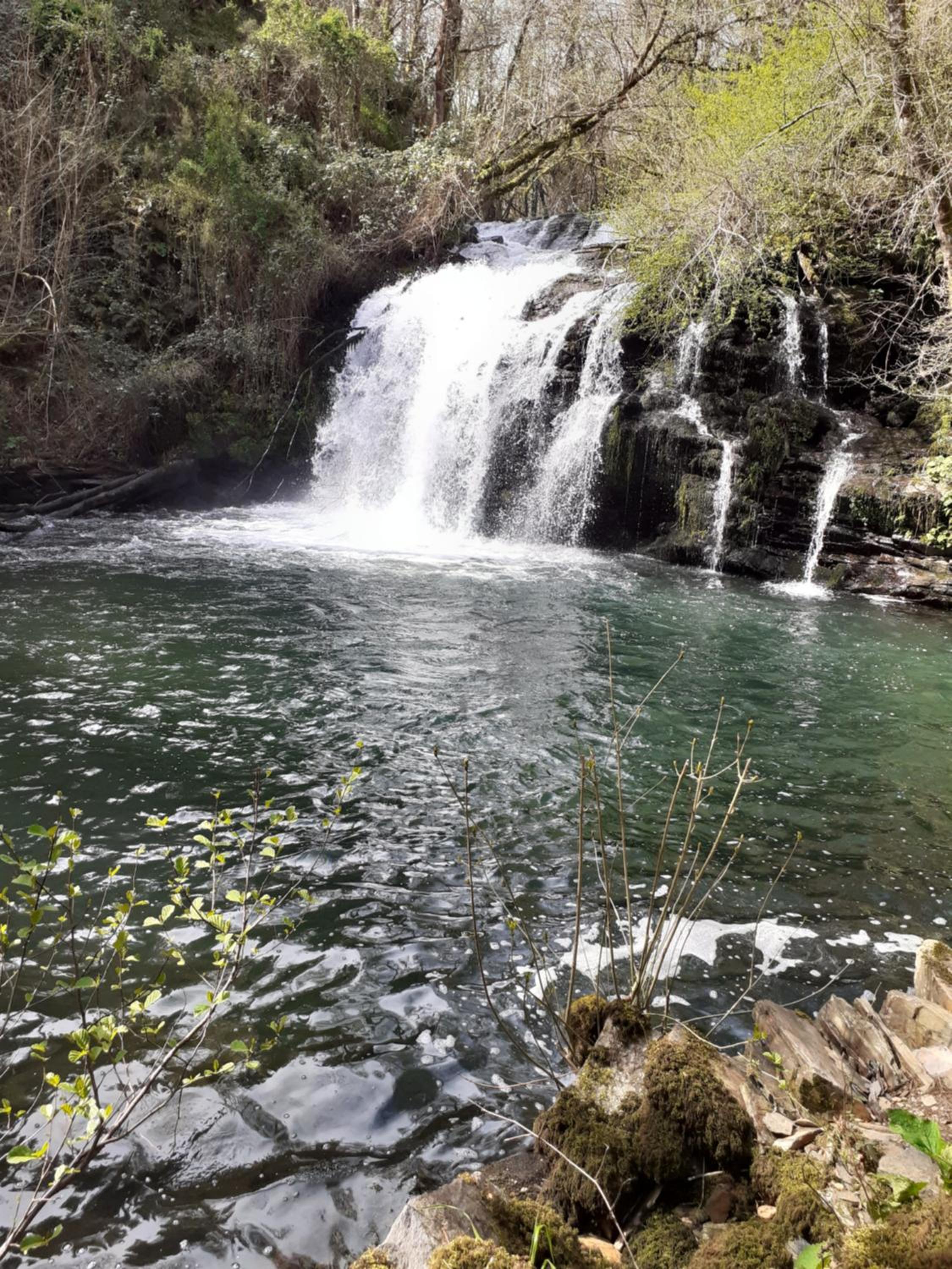Sons do Eo- Alojamiento ecológico en Galicia