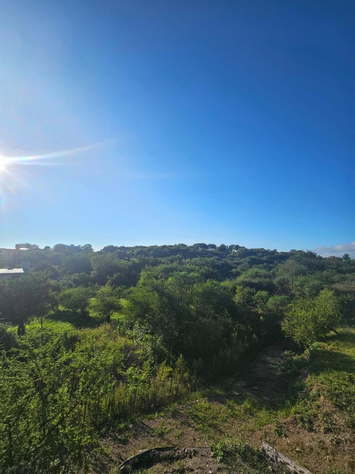 El Parral