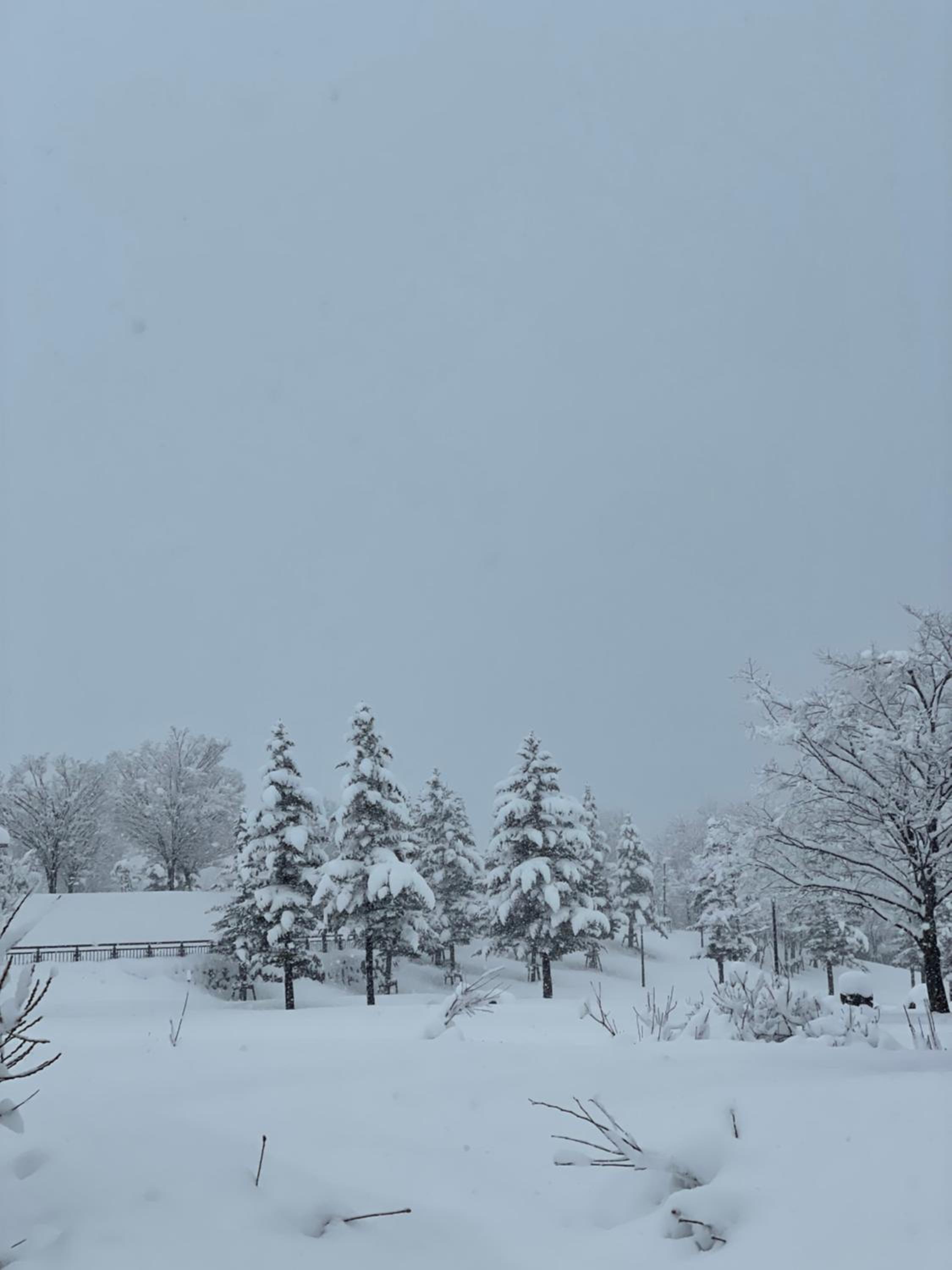 Urasa Cottage @ Snow Countryside