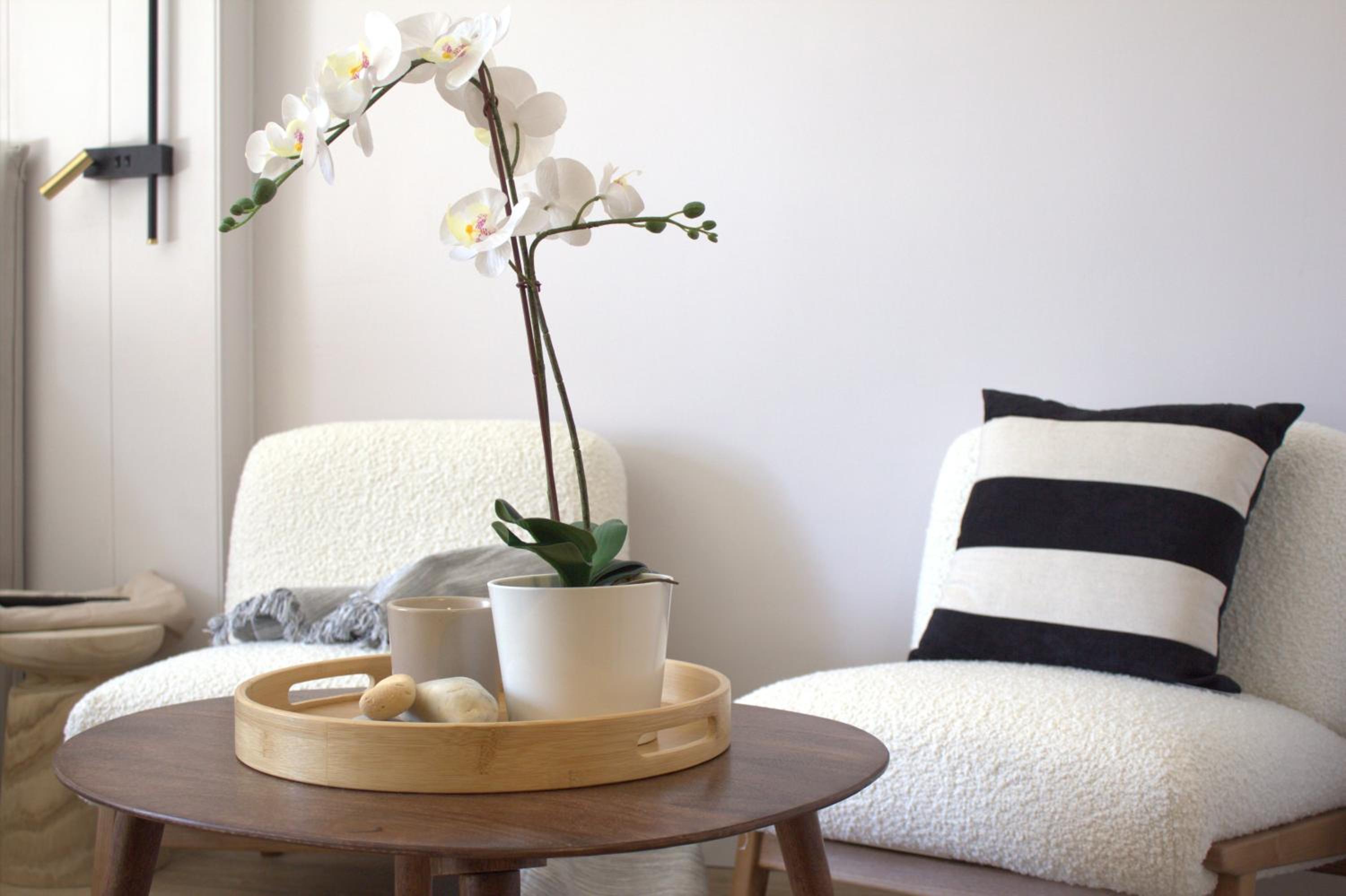 BENALMADENA Minerva Estudio SUITE NATURE, beach and pool