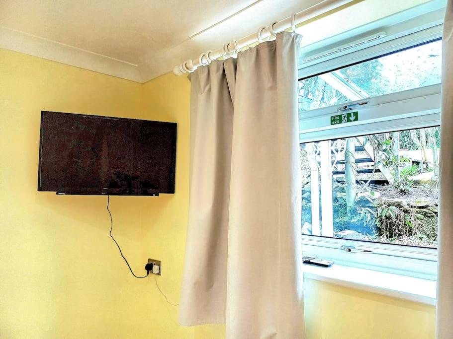 The Conifers, 3 Room, Small but Stylish Self Catering Flat in Nature Reserve Free Eden or local taxi b4 9pm no lounge view 5