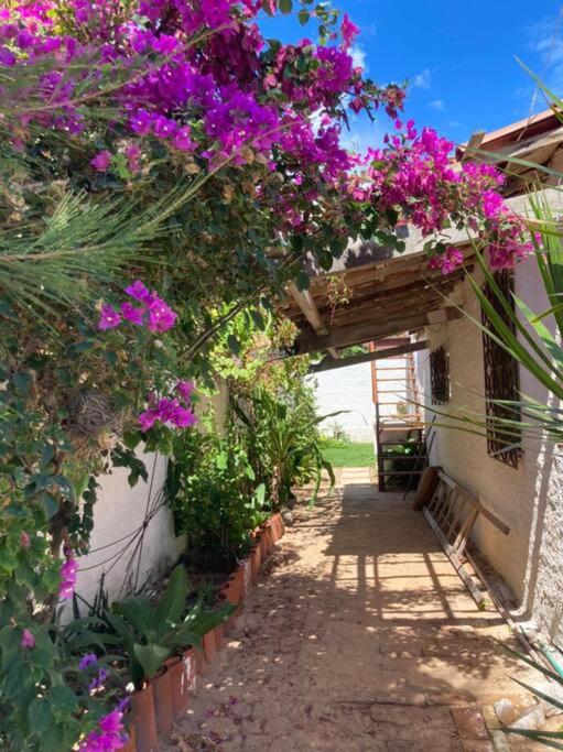 Casa Flora Canoa Quebrada