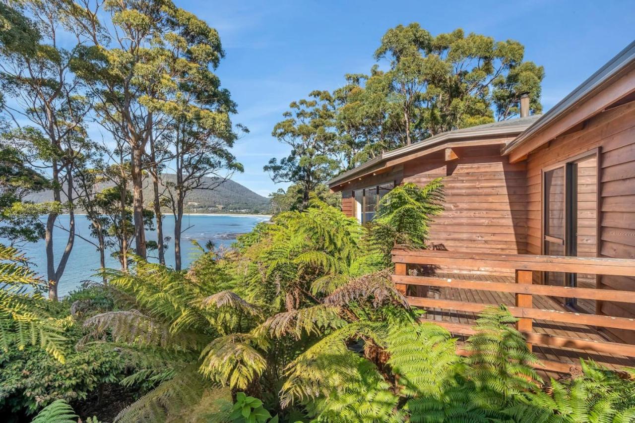 Osprey Lodge