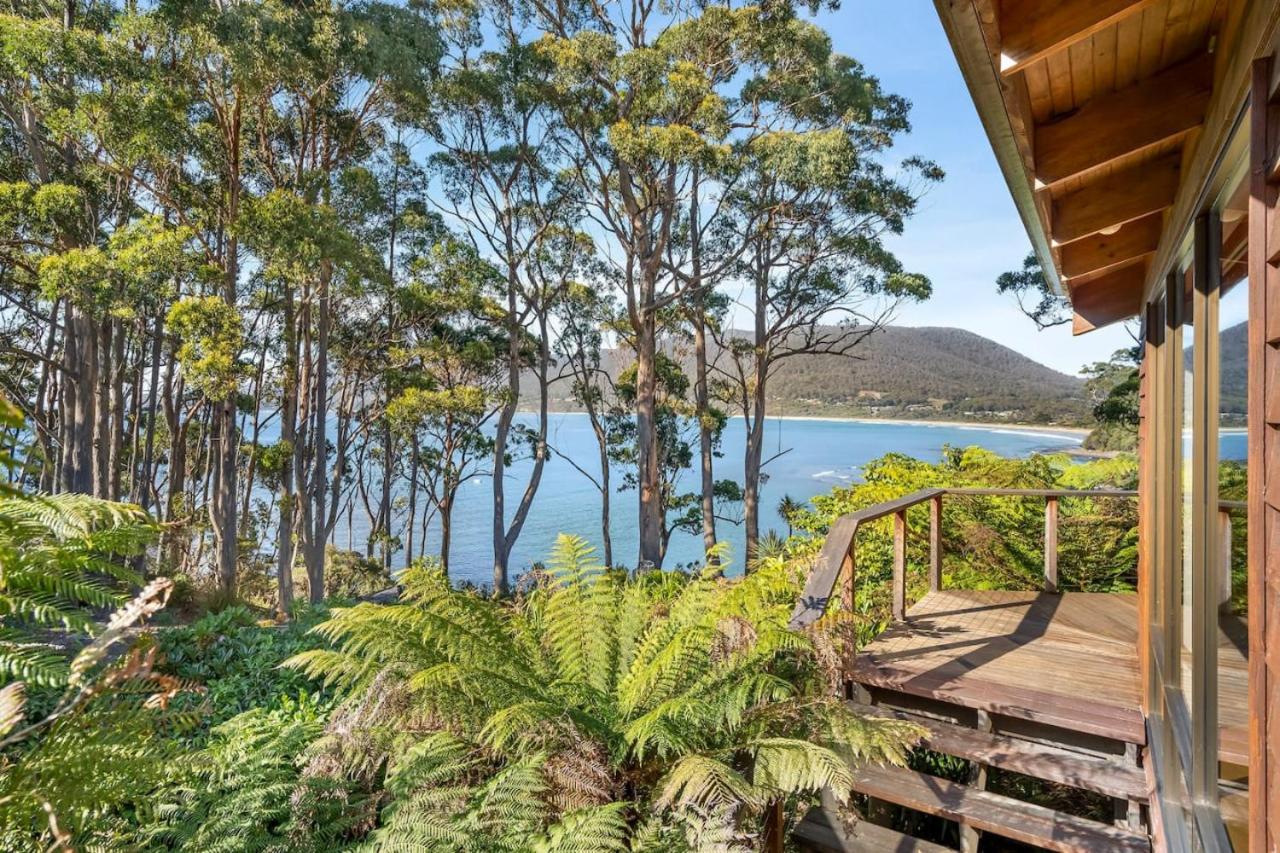 Osprey Lodge