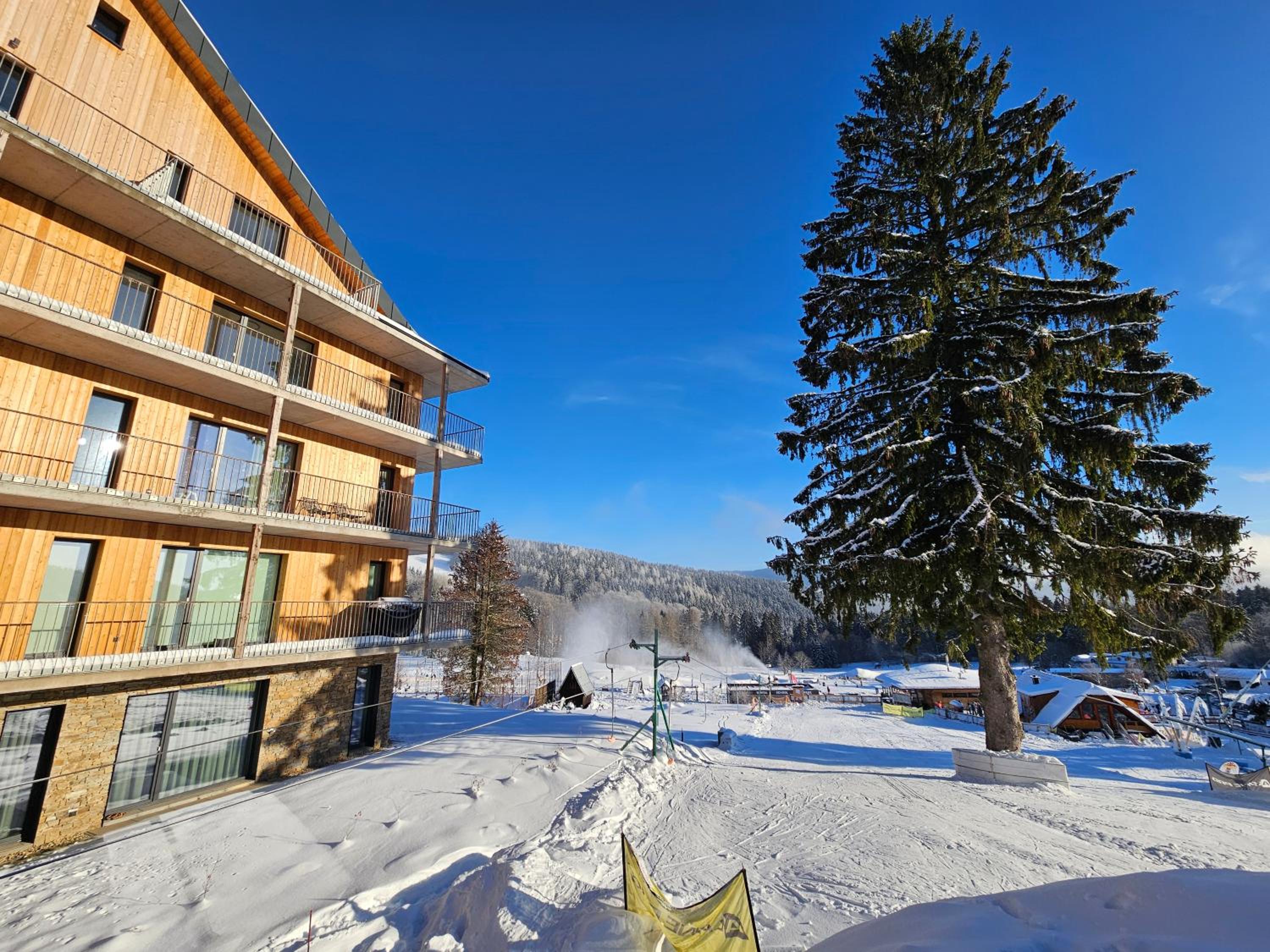 DeLuxe apartmán s terasou Janské Lázně 3 Ski&Bike by AlkaTravel