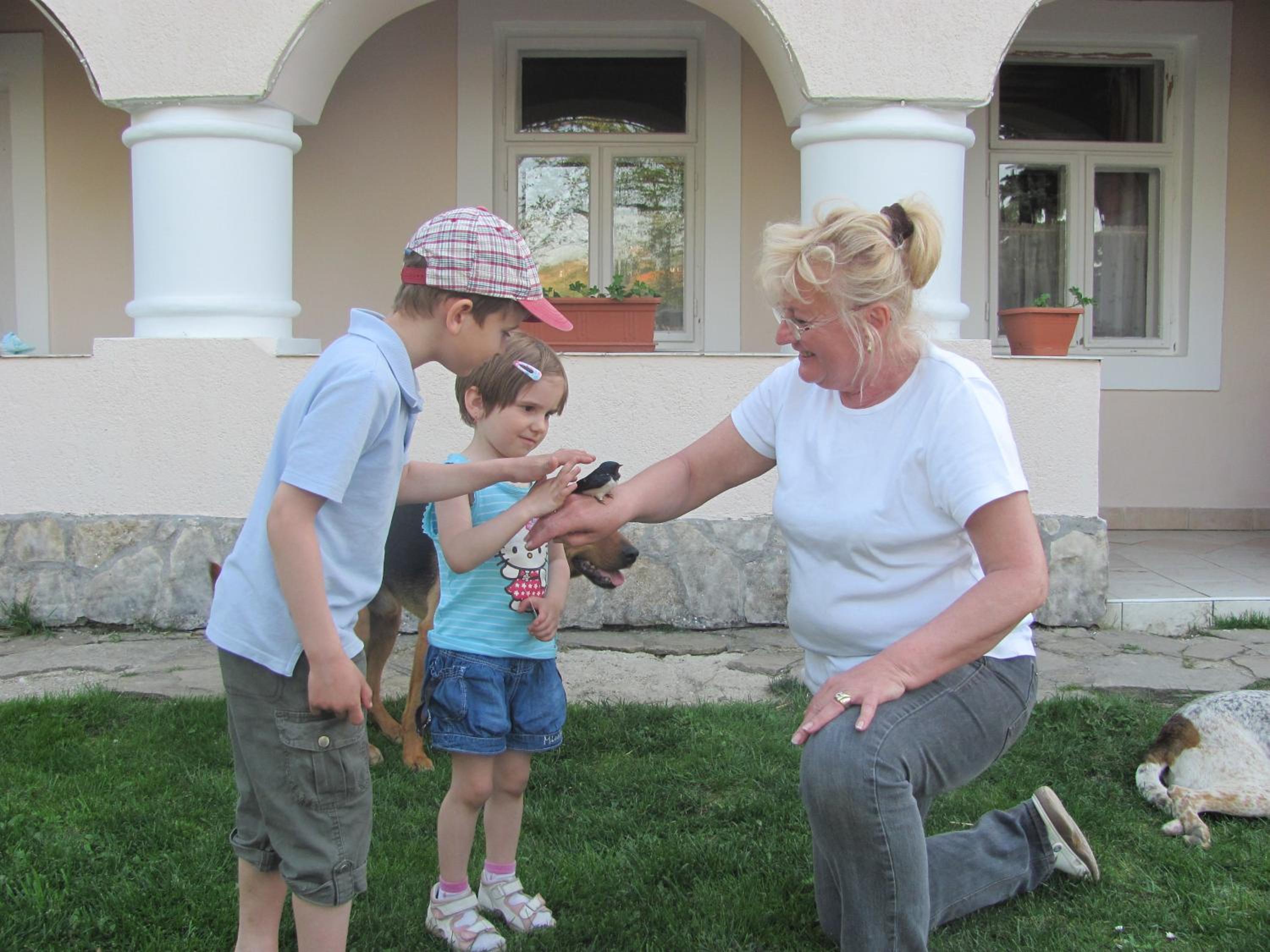 Photo 55