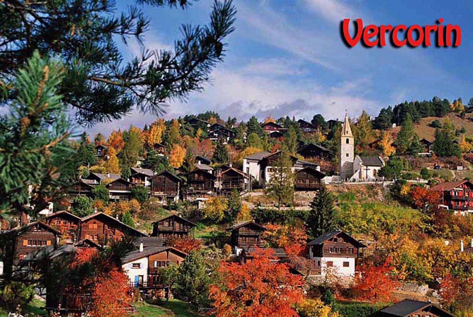 La Montagnette, VERCORIN view 3