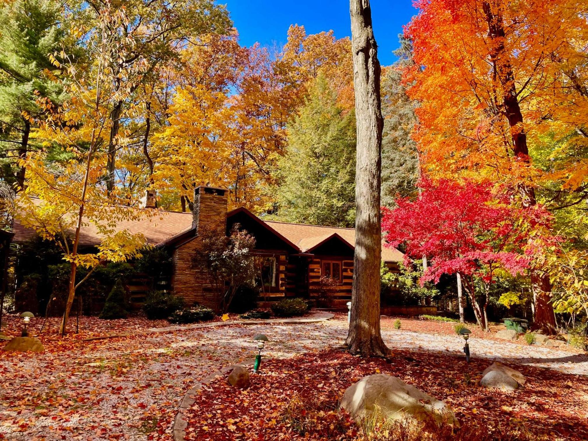 Log Cabin - Natures Oasis - Fire Pit & Gazebo